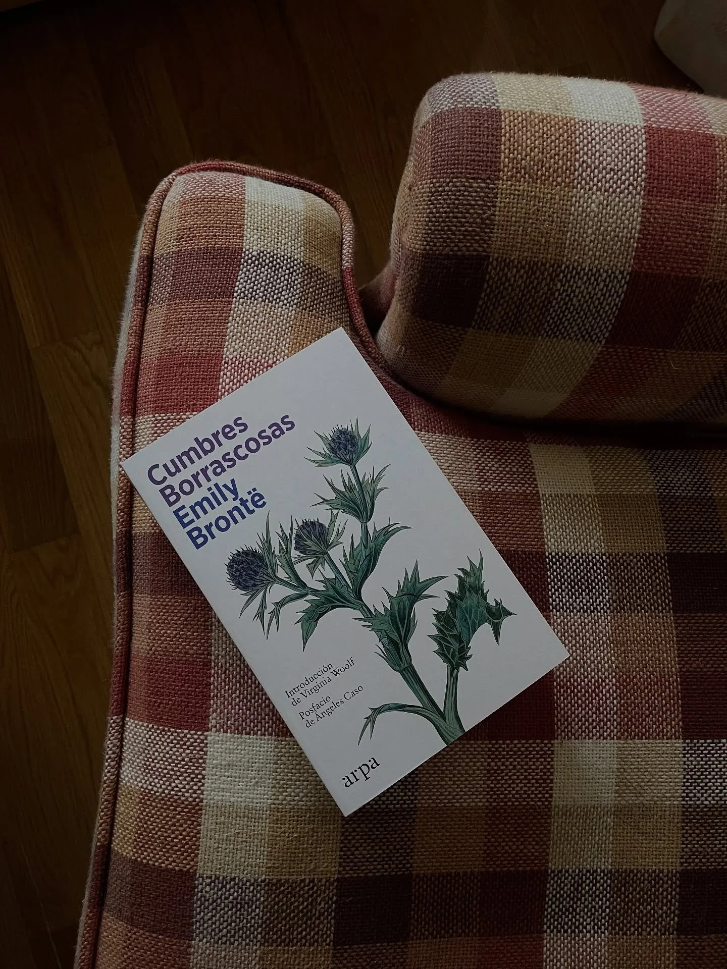 del verano pasado, preparando el oto&ntilde;o 🌬️

#cumbresborrascosas #emilybront&euml;