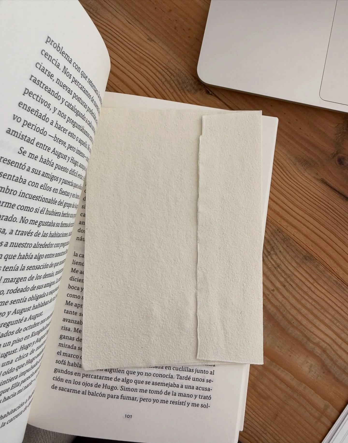 nueva newsletter en tu mail 🫴🏽💌

(hay algo sobre las manos)