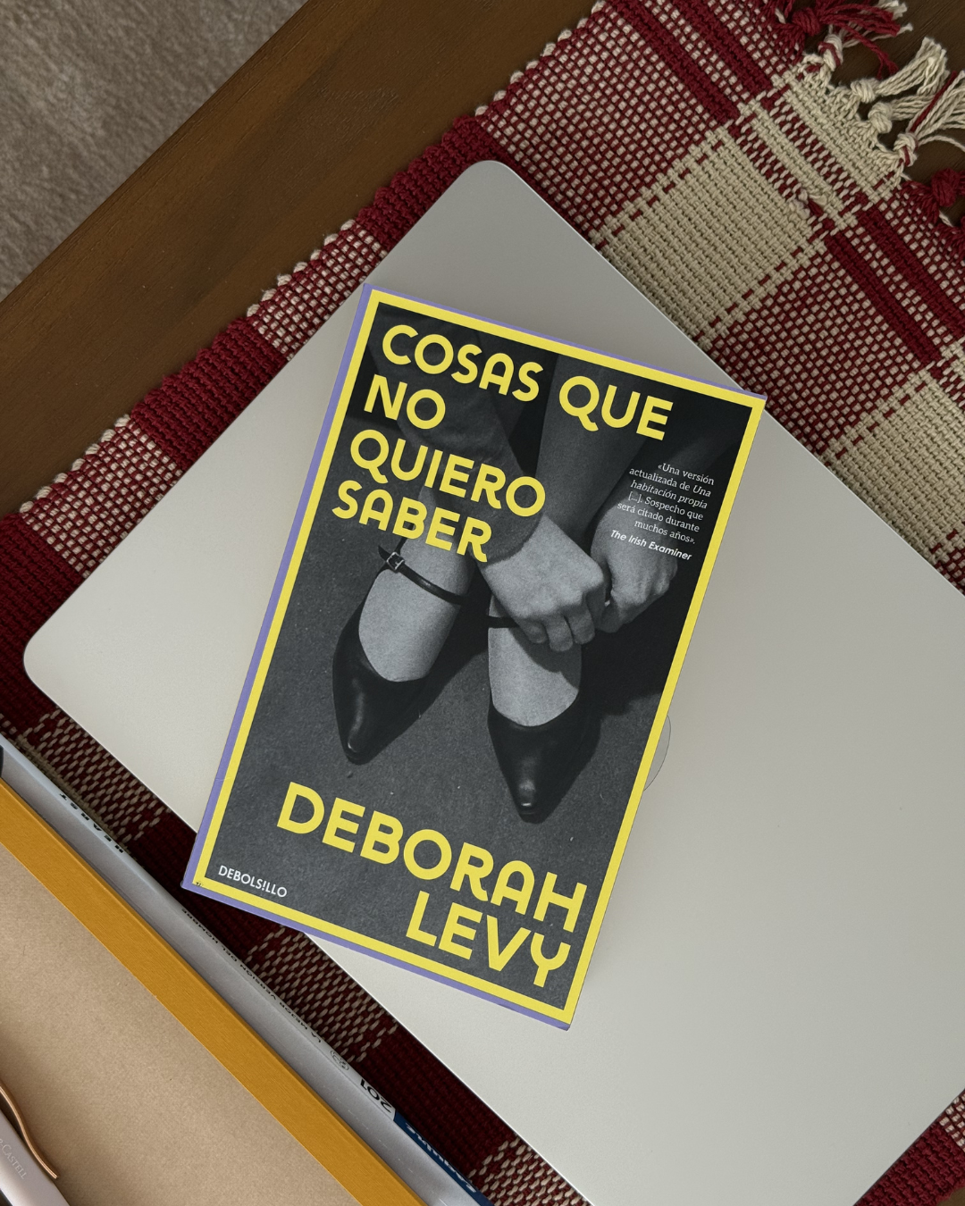 cosas que no quiero saber, deborah levy