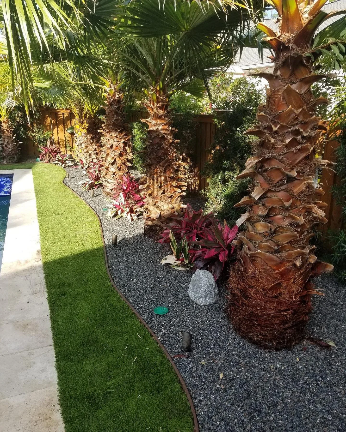 Landscape_Palms_Turf.jpg
