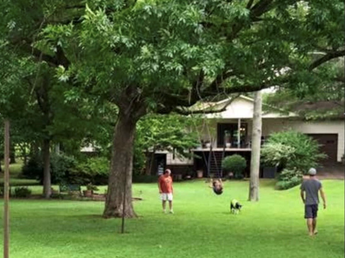 A backyard scene with two men, a dog, a girl on a swing, and a large tree.