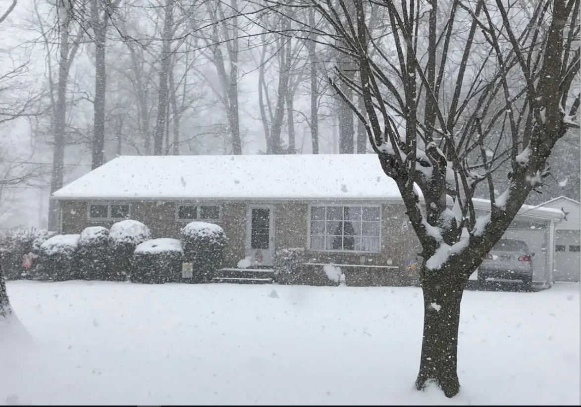 snow falling in front of a house with a large front window and a porch, with a snow-covered tree in the foreground and bushes lined in front of the house, in a snowy backyard.