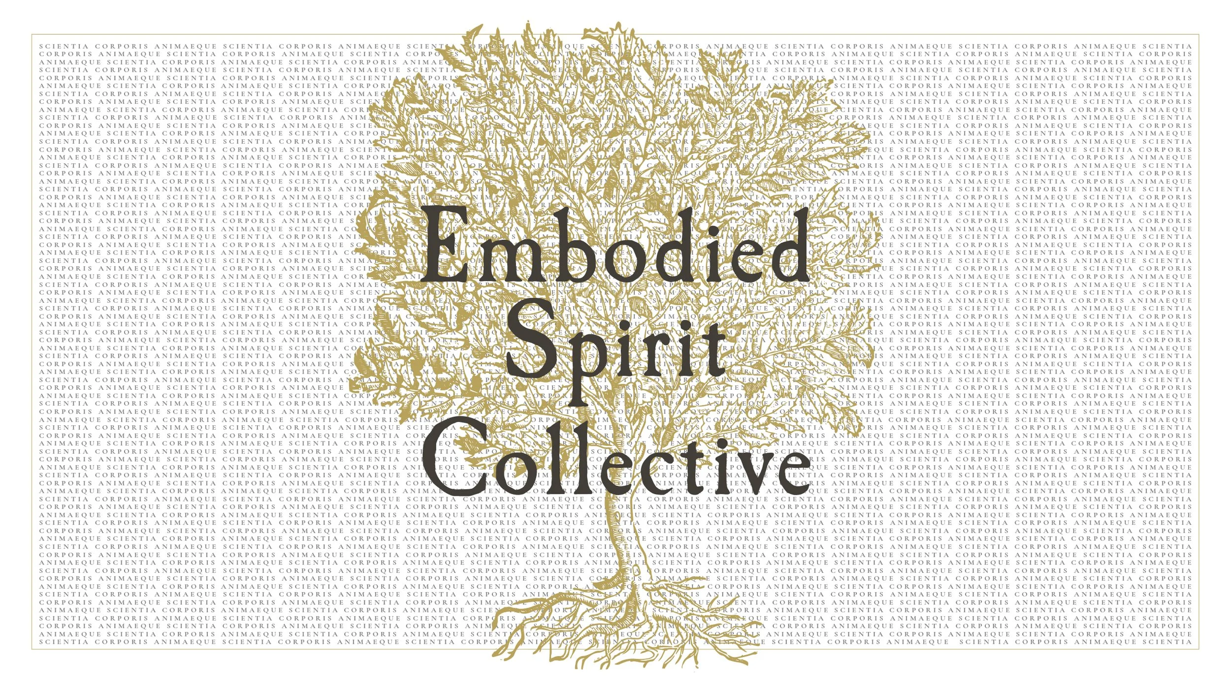 4-D and Psychedelics with Tina Sellers, LMFT, CST-S