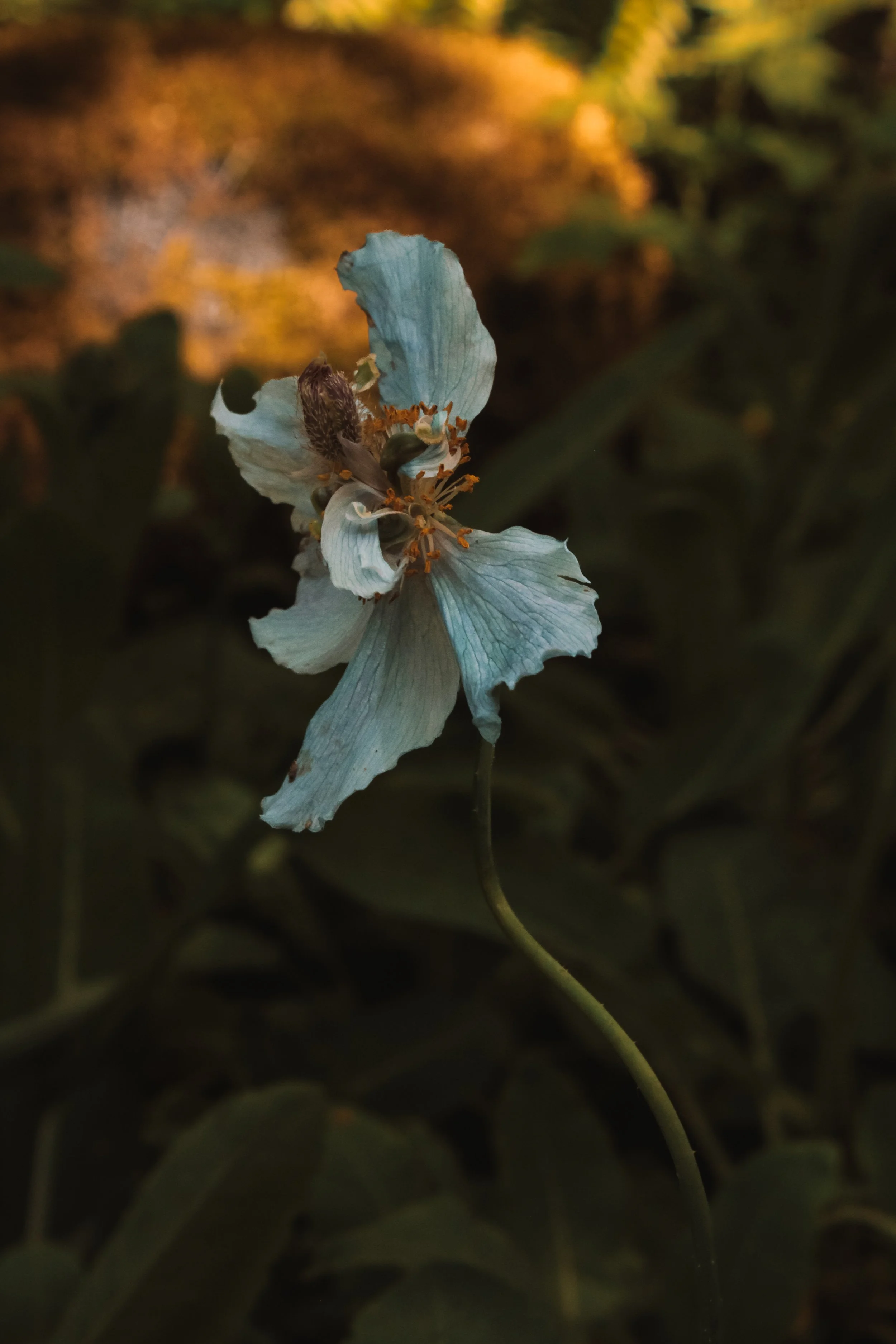 Untitled (2026)