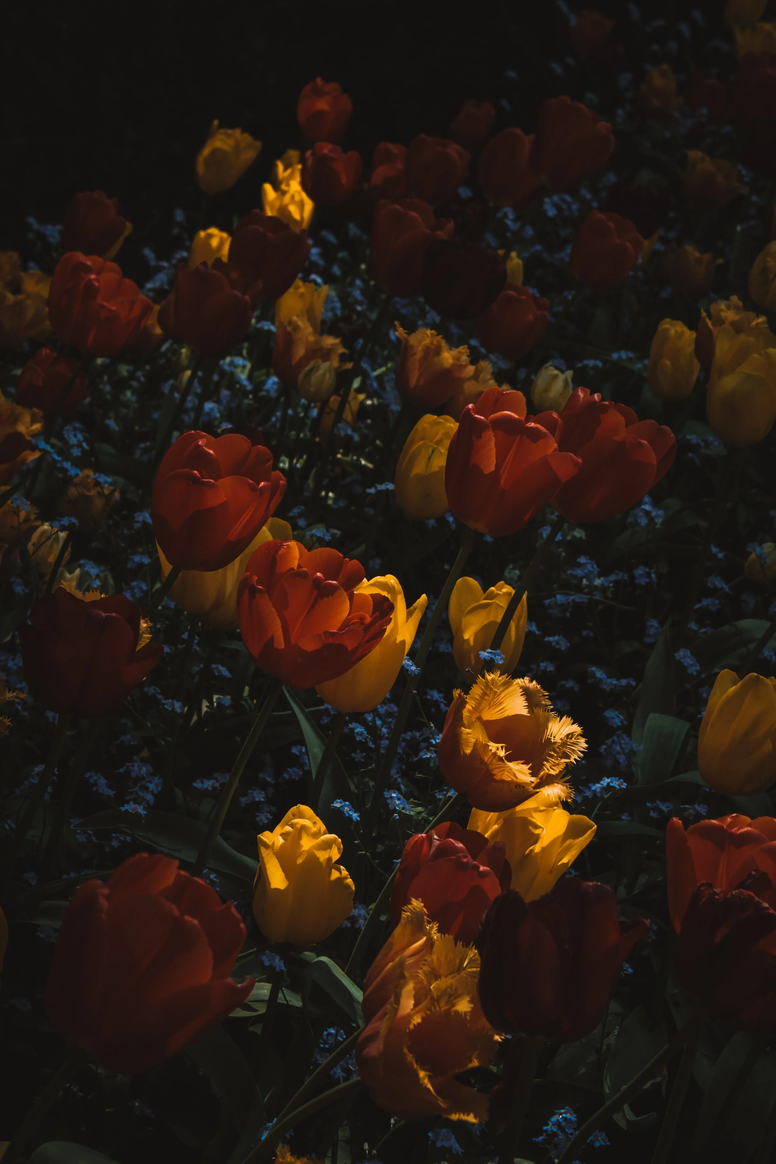 Untitled (2026)