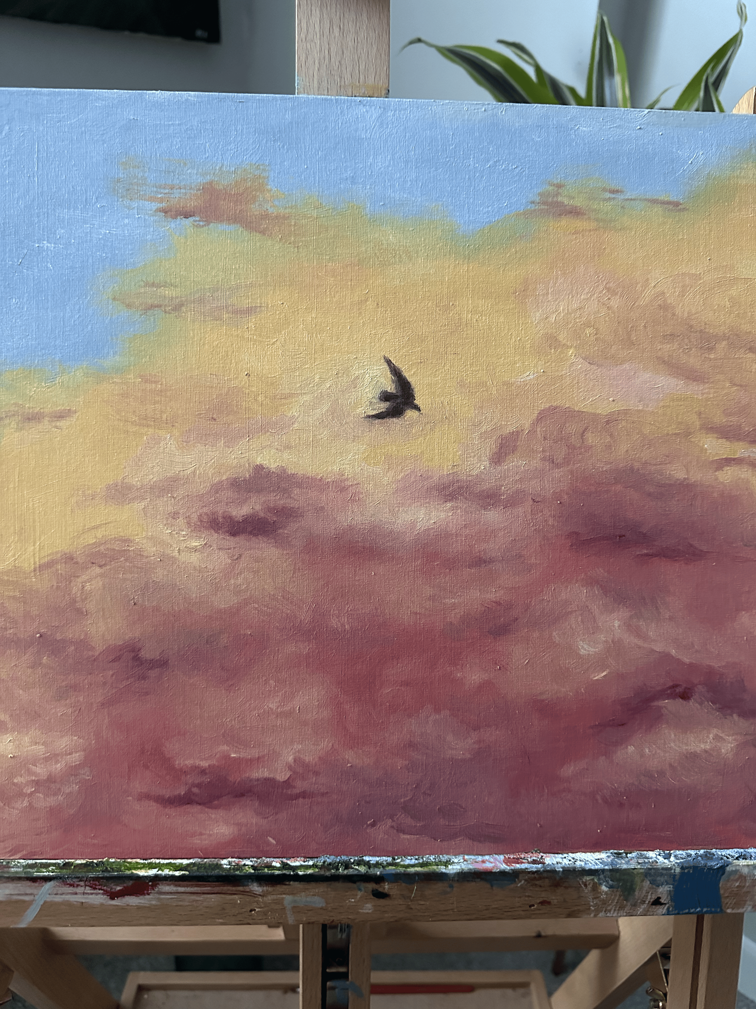 IMG_9729.png
