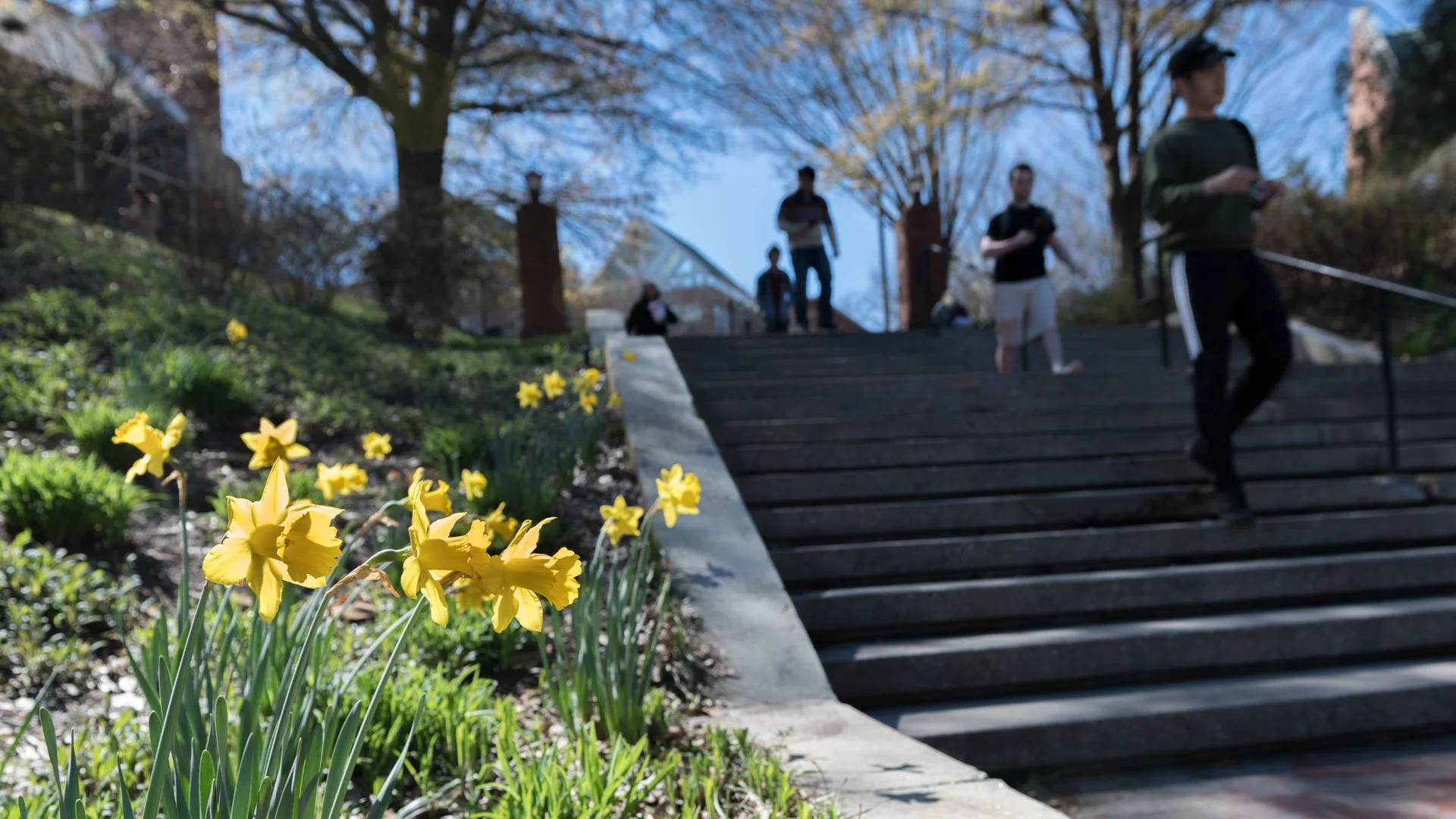 How Joseph Lee Turned a Campus Observation Into a Sales Platform