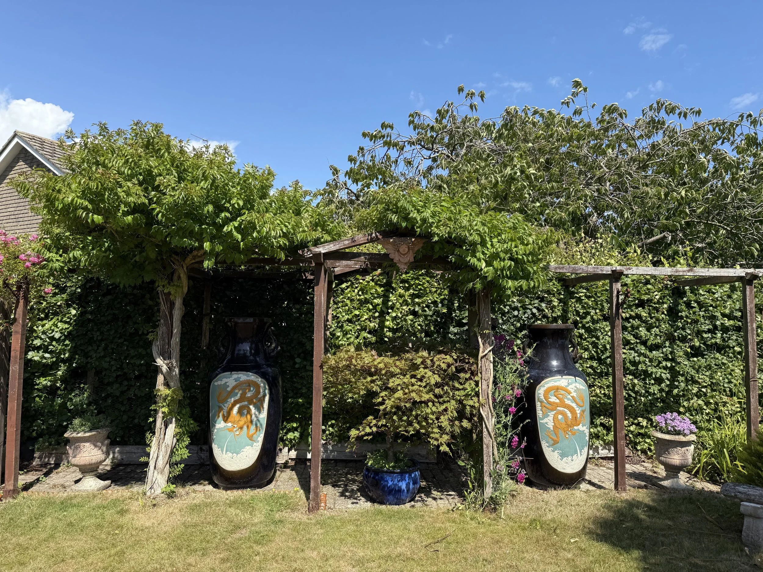 IMG_0553.jpeg