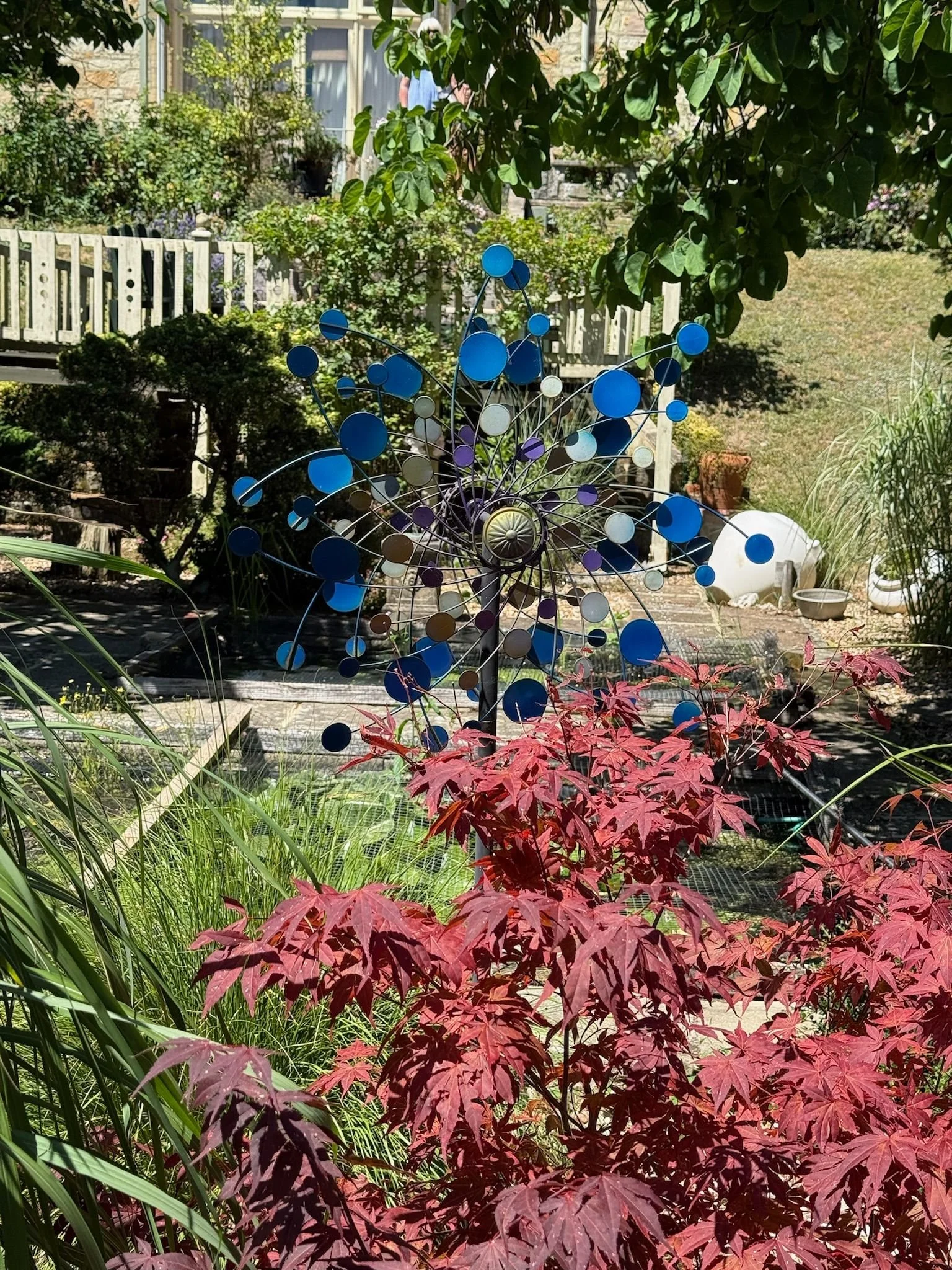 bonchurch-open-gardens-2026-04.jpeg