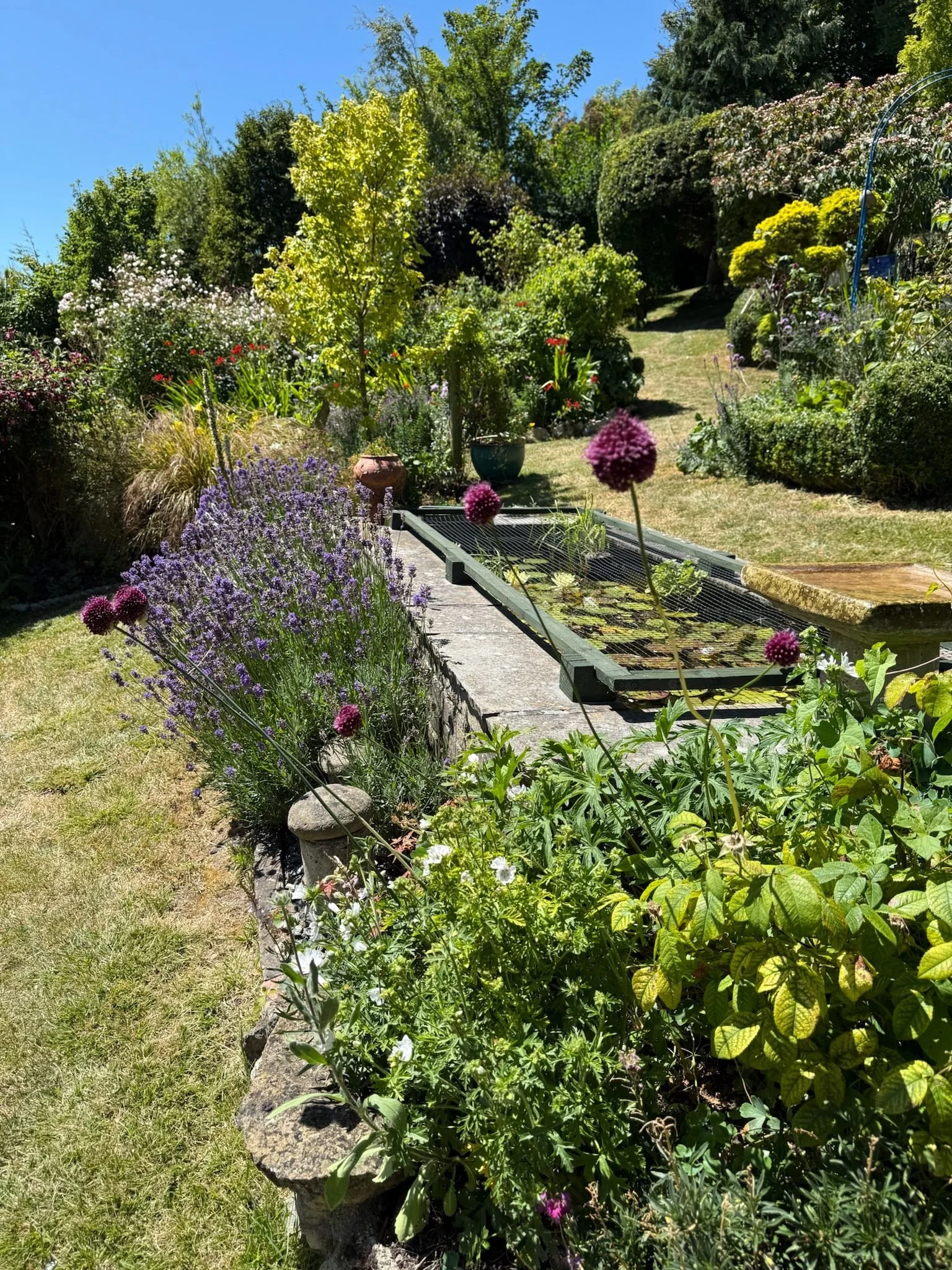 bonchurch-open-gardens-2026-05.jpeg
