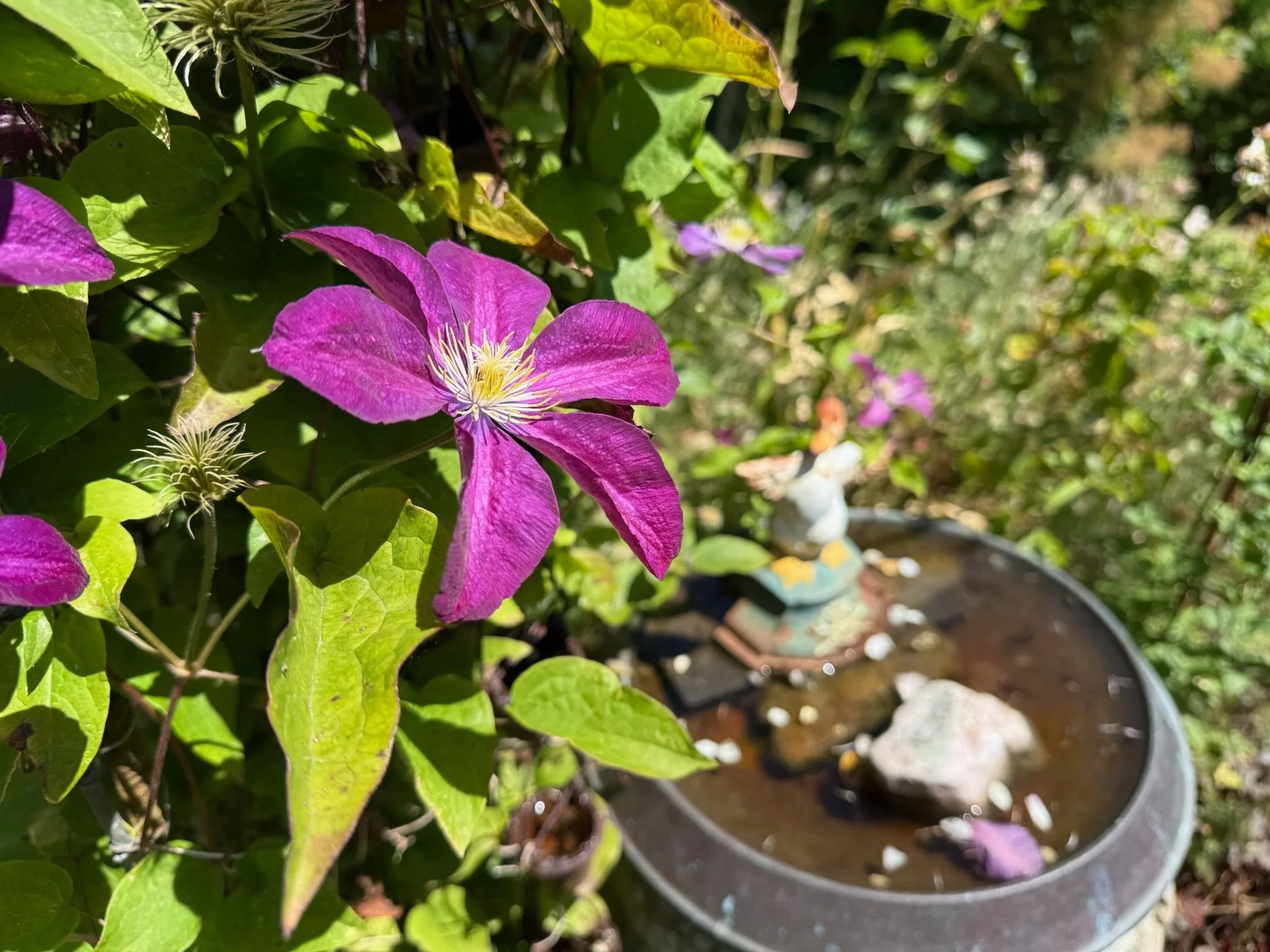 A Blooming Wonderful Weekend, and a Record-Breaking - Thank You!