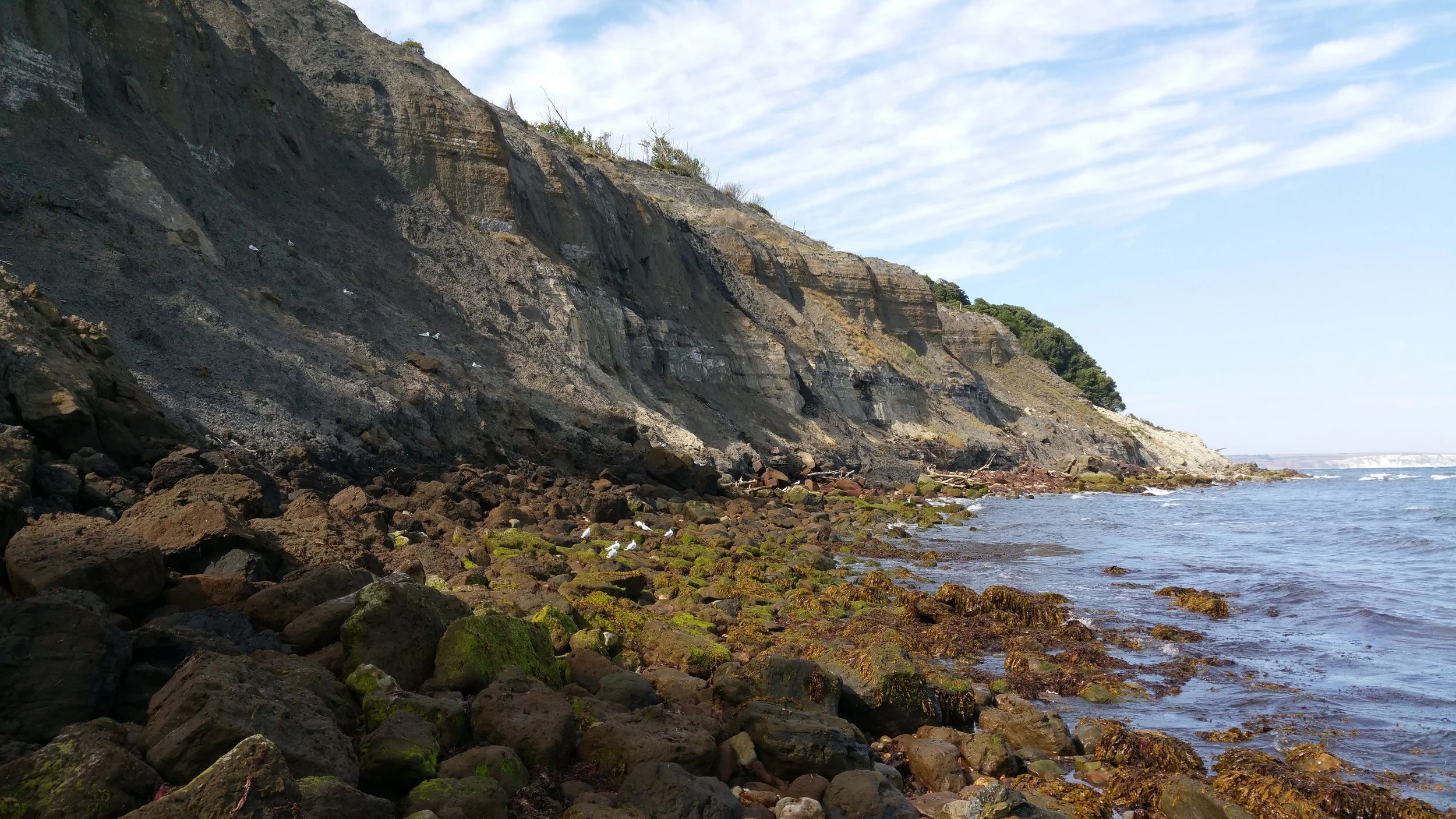 Rocky coastal cliffs with ocean waves and green seaweed-covered rocks.