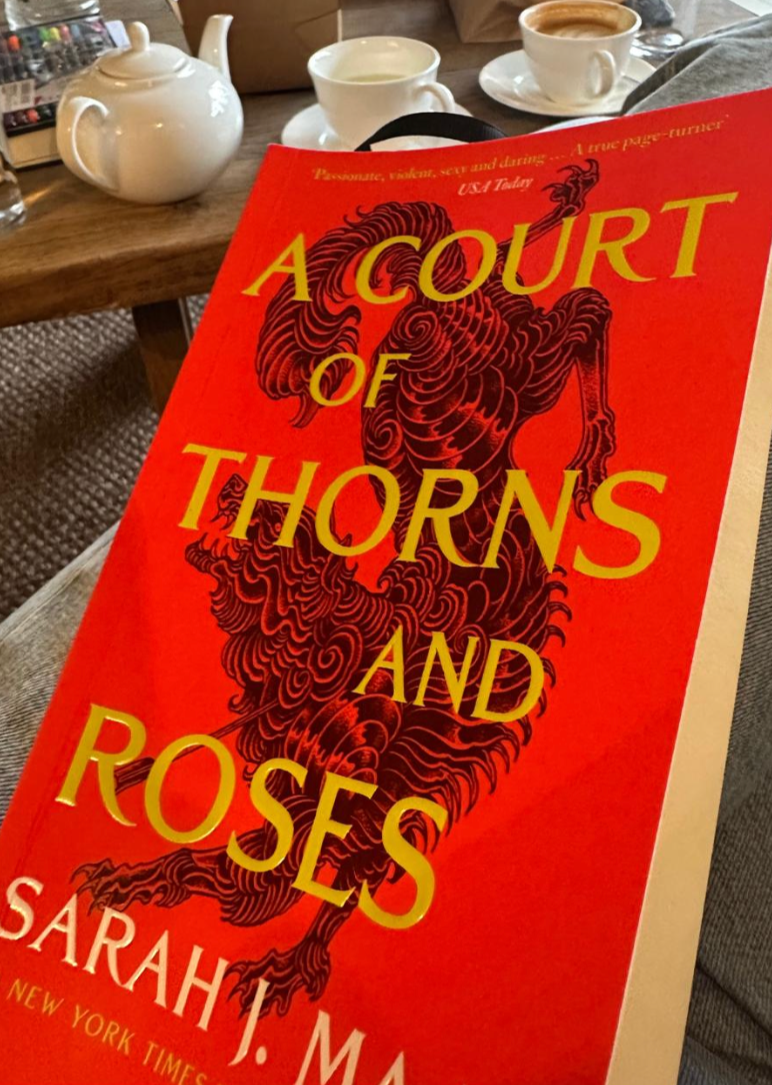 A court of thorns and roses by sarah j mass yellow text on red book cover with black lined illustration behind text