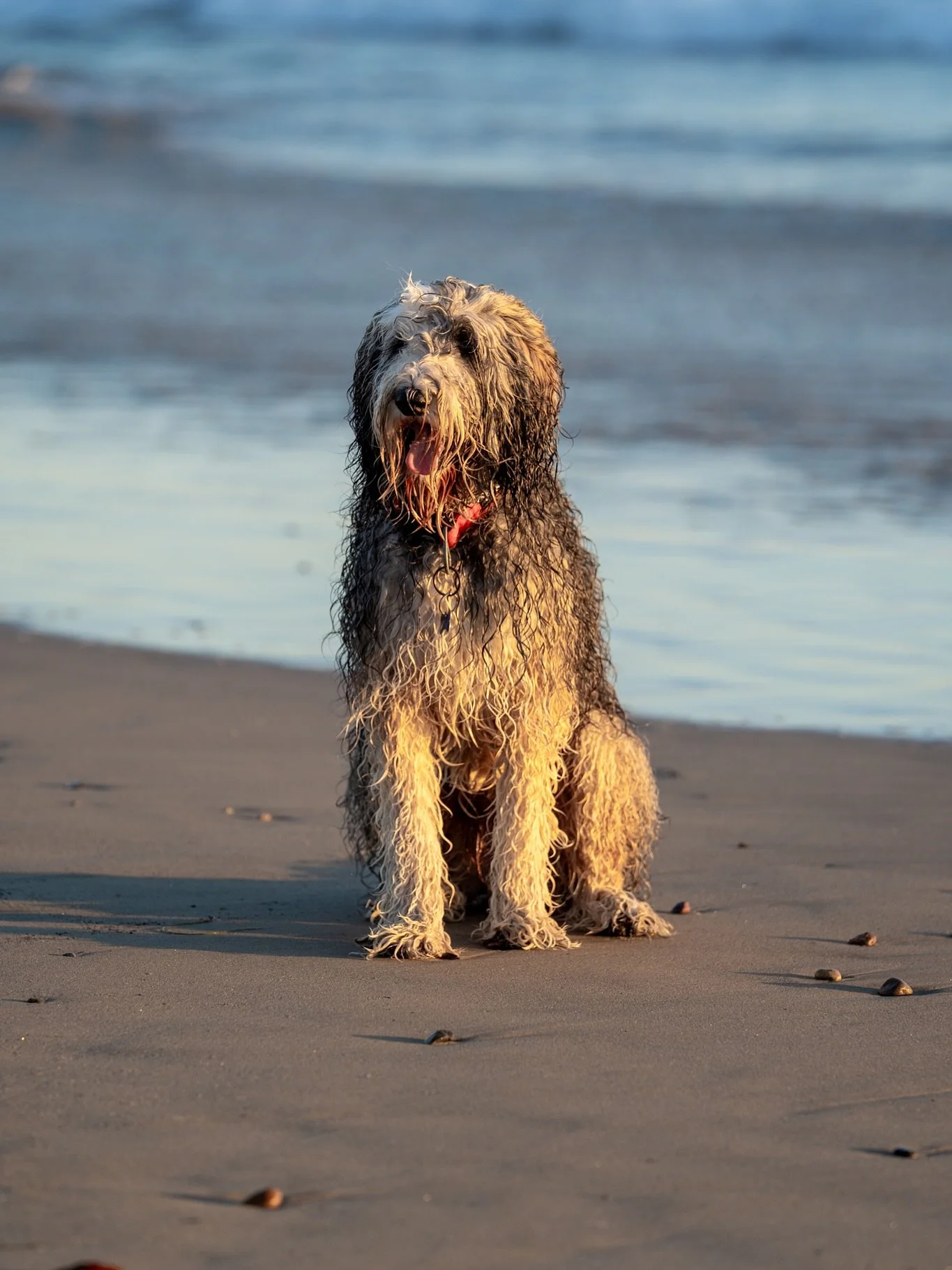 Zuma Beach Malibu, CA