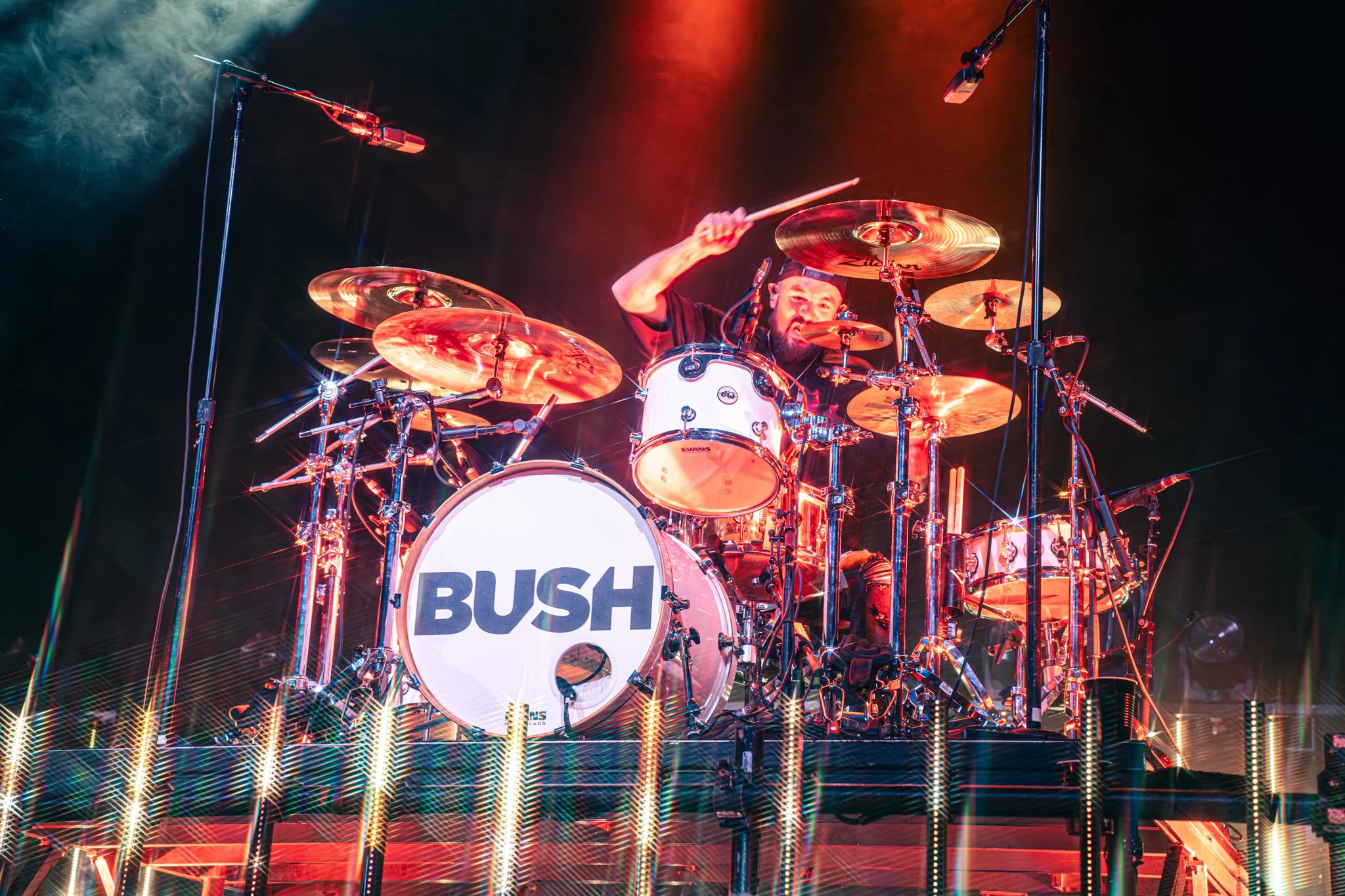 Bush-6.jpg