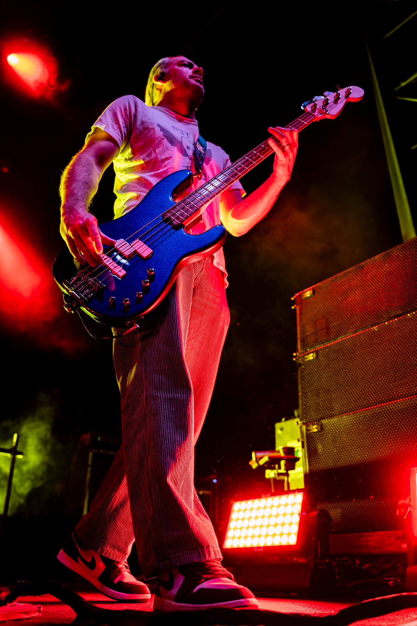 Bush-28.jpg