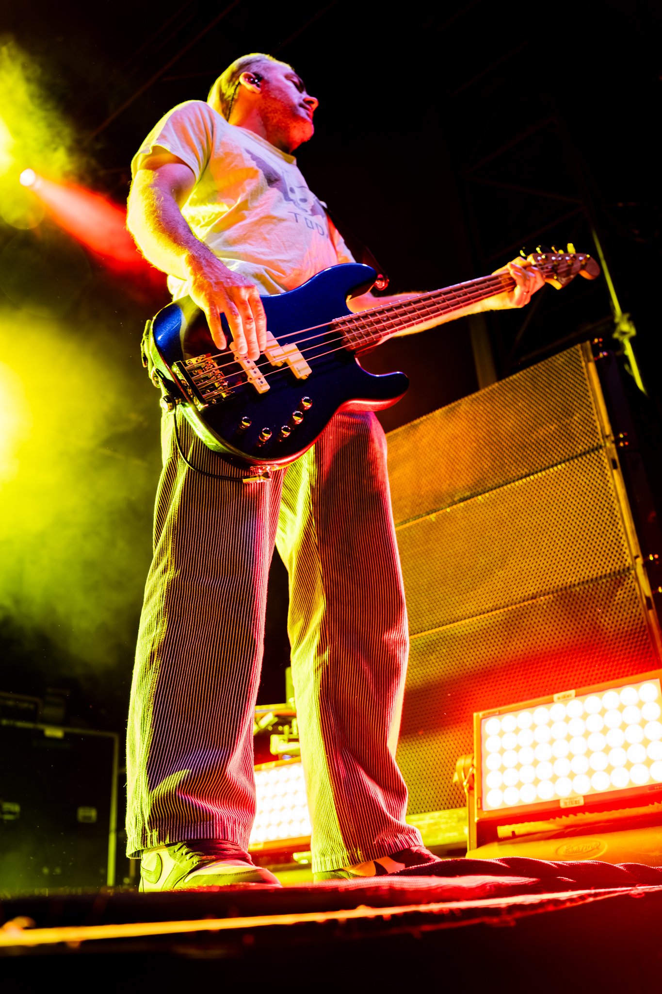 Bush-29.jpg