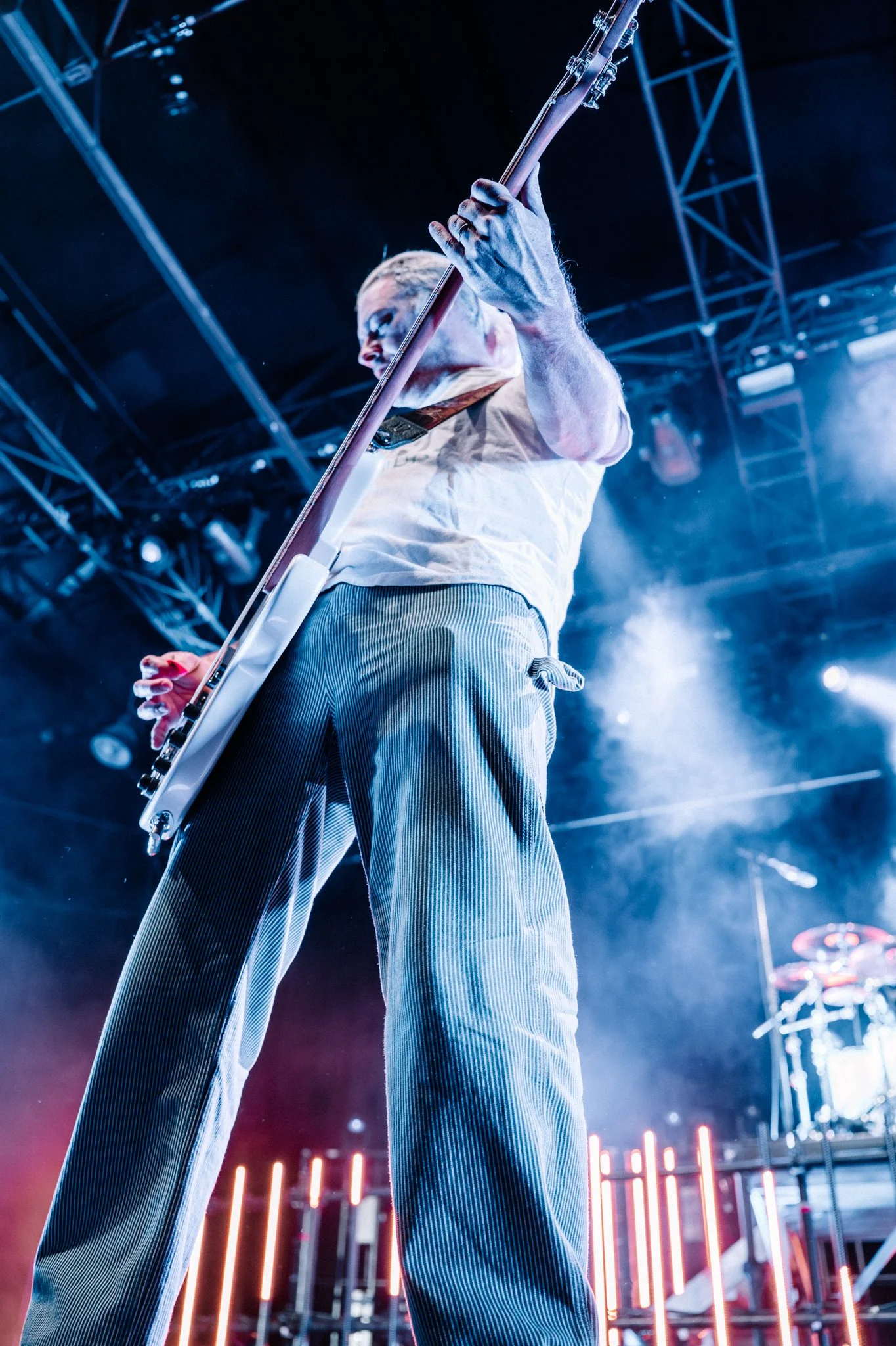 Bush-50.jpg