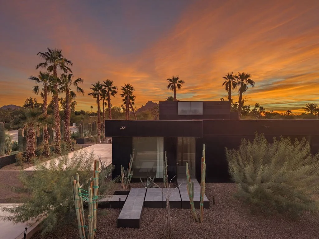 Modern black house in a desert landscape with tall palm trees and cacti at sunset.