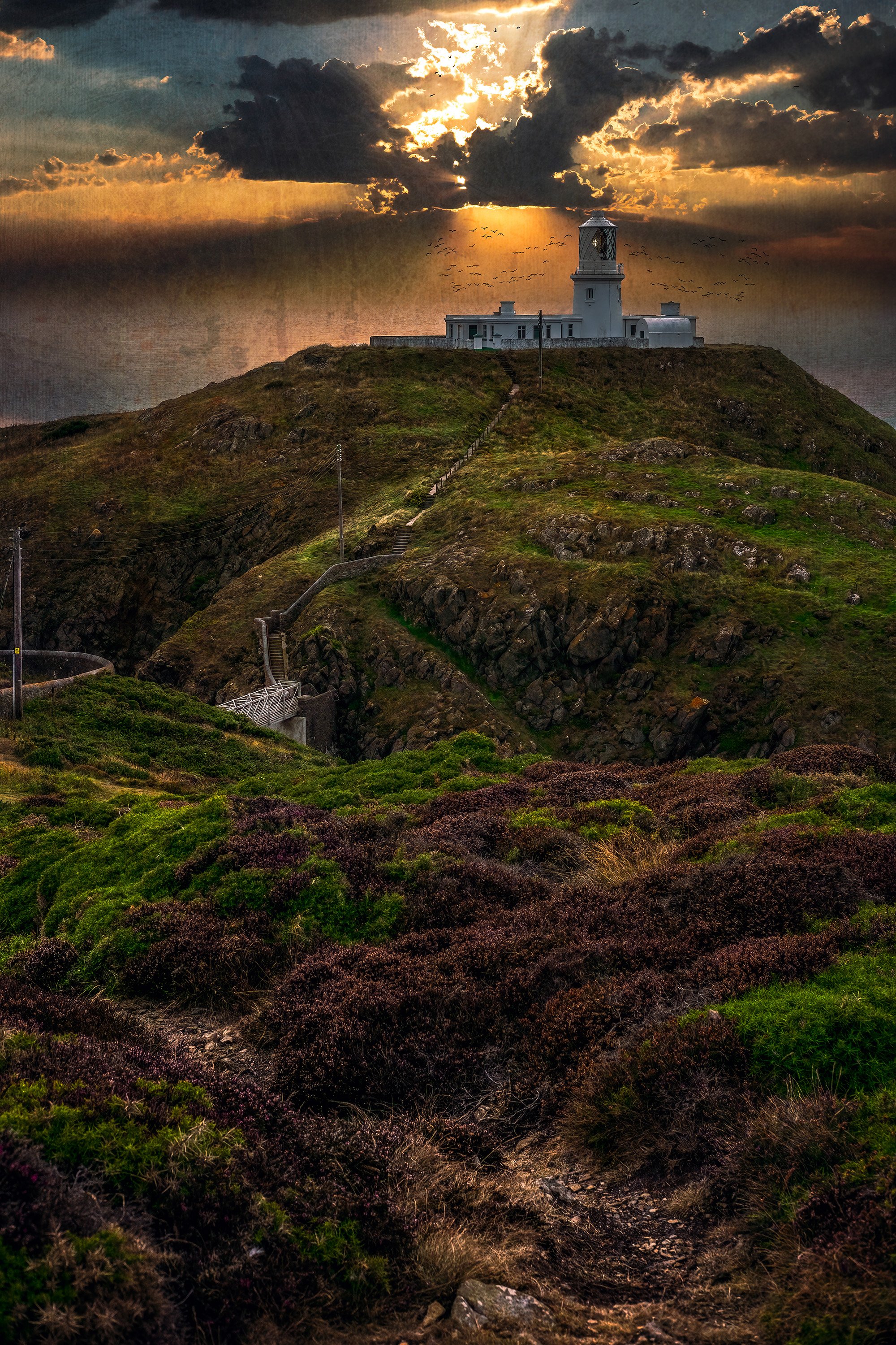 DSCF2001-strumble-head-small.jpg
