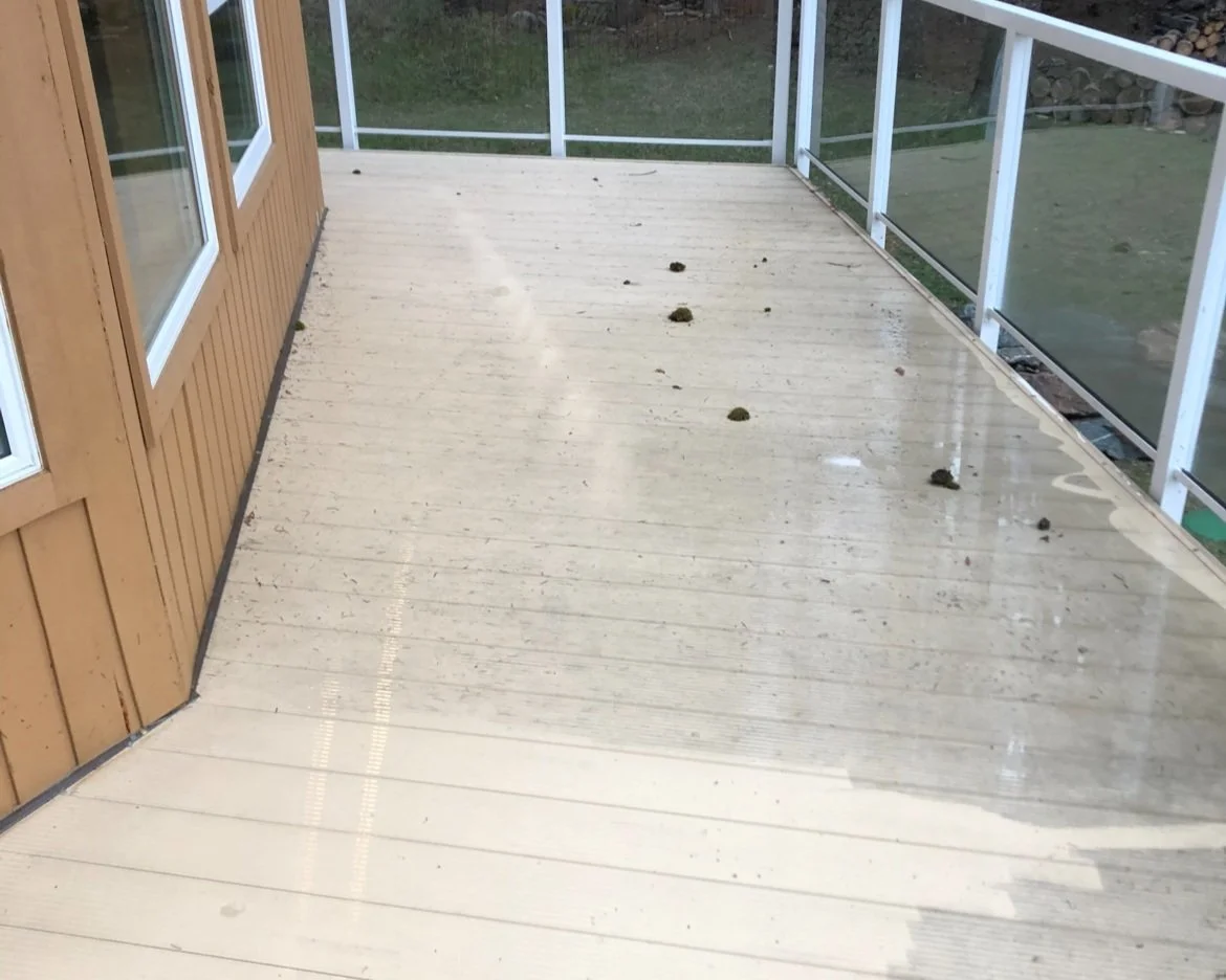 A wooden deck with some dirt and debris, including small piles of dirt or mud, next to a screened porch with glass windows.