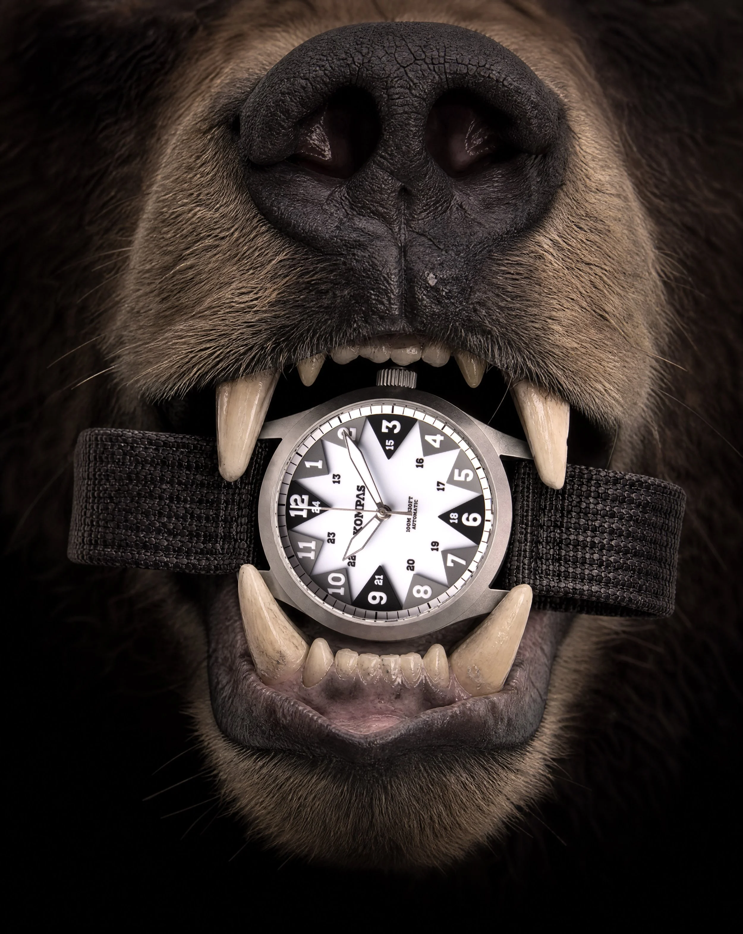 The wilderness respects what can endure.

The North was built for adventure with a rugged sandblasted steel case and our signature performance layer dial designed for instant clarity under pressure.

Out there, weak gear gets left behind.

Find your 