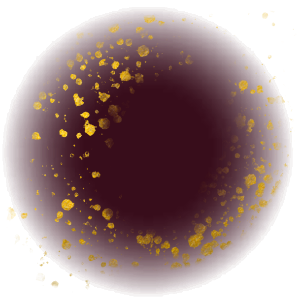 Close-up of a dark circular object with gold speckles and a glossy surface.