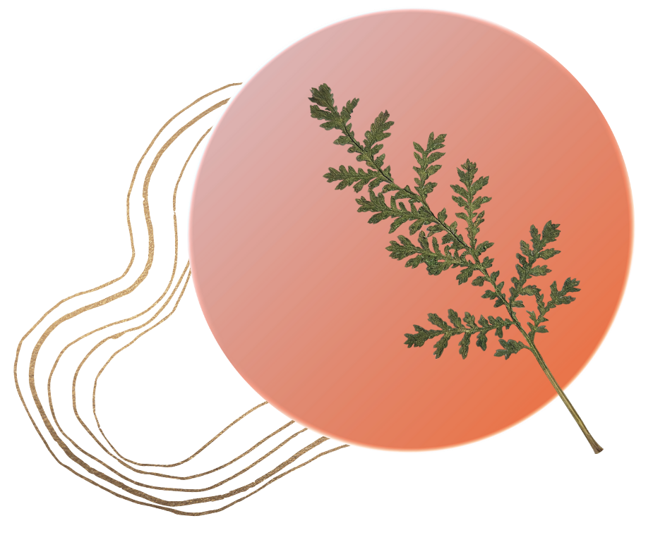 A small green branch of a fern-like plant on a circular, peach-colored background with rounded edges.