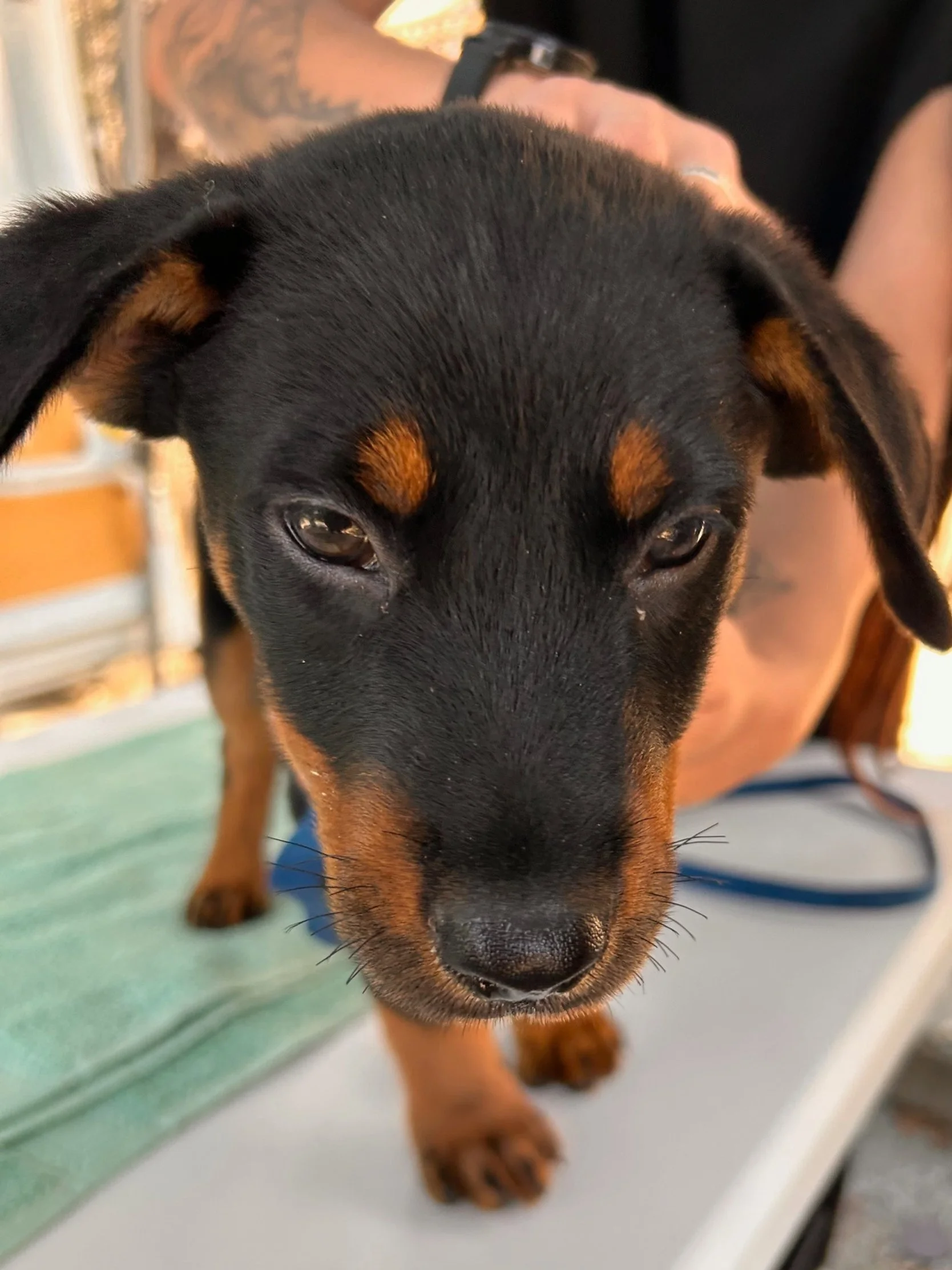 Mobile Clinic at DWWCHO