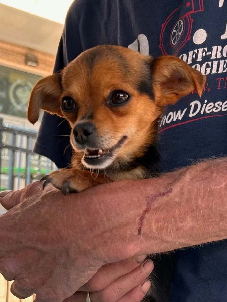 Mobile Clinic at DWWCHO