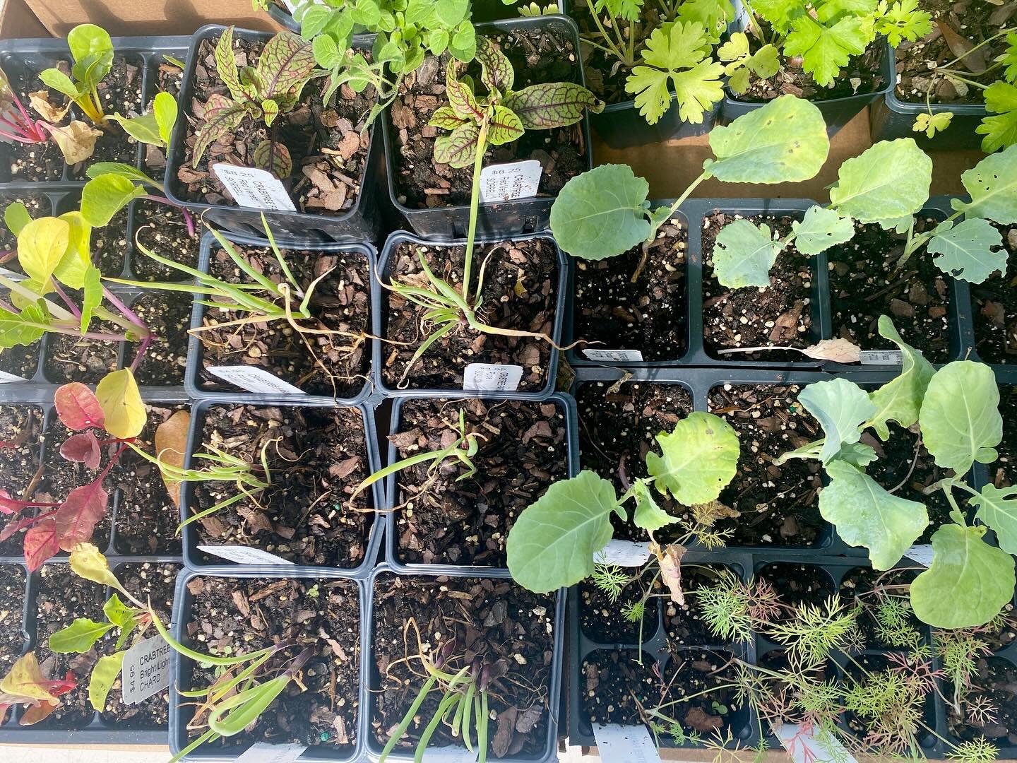 Birds of a Feather: Getting to Know Crabtree Farms