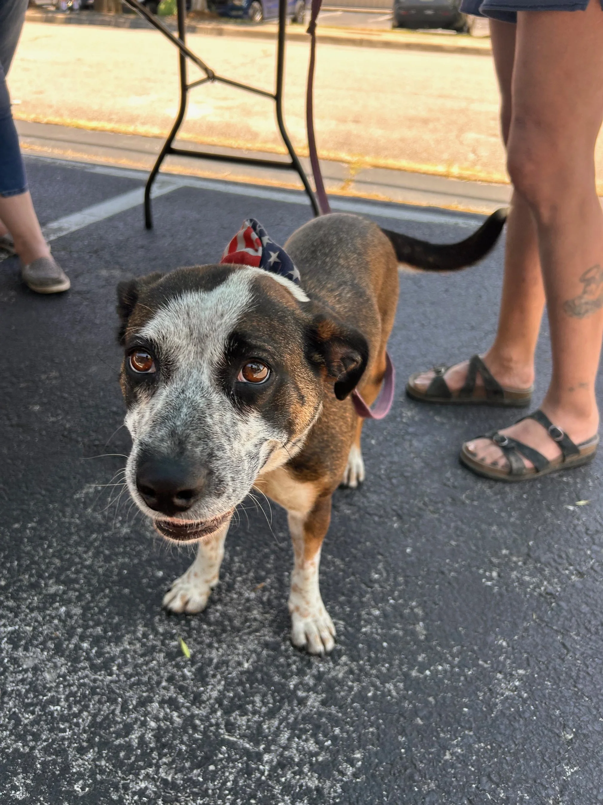 Mobile Clinic in Rossville
