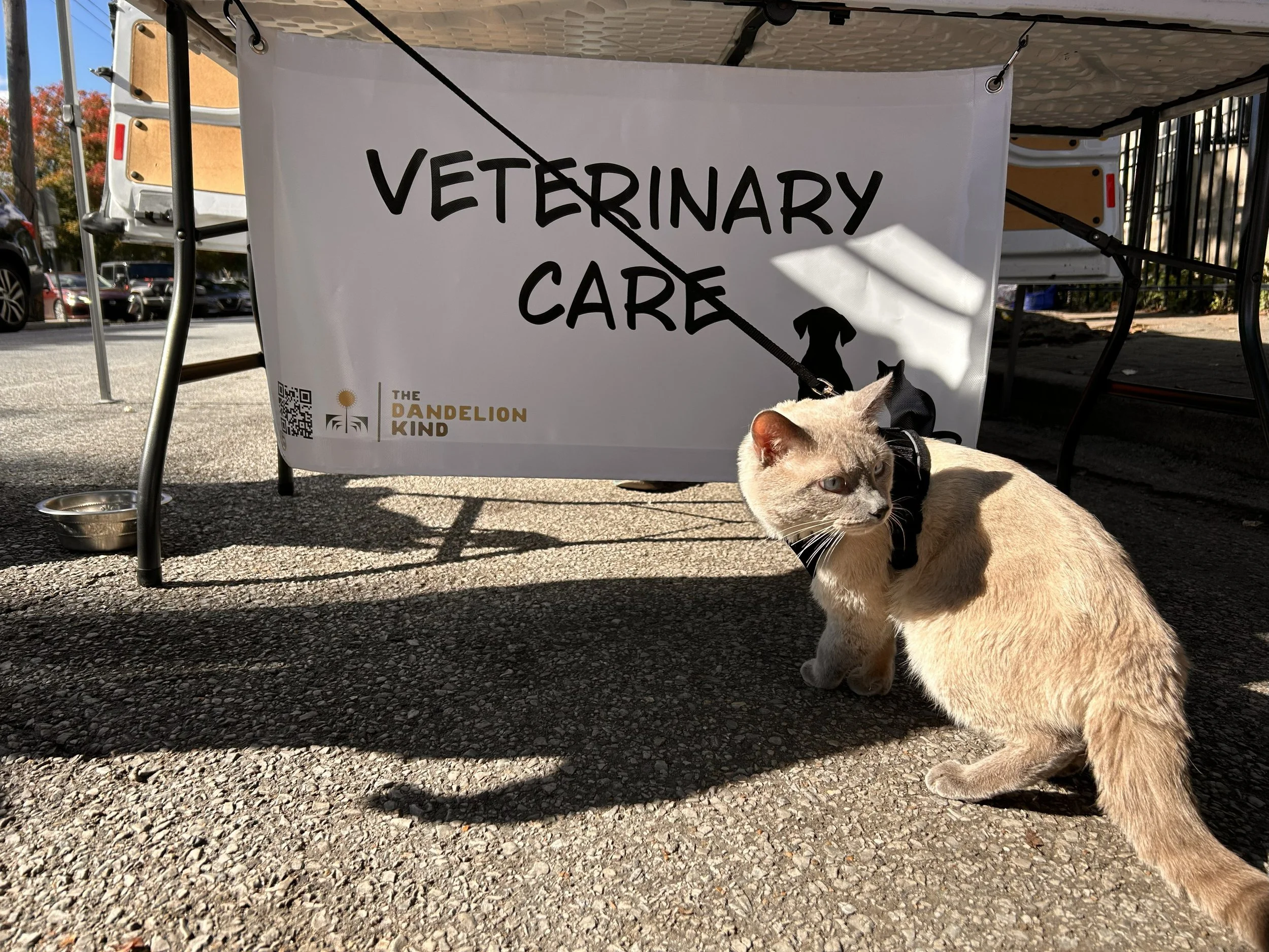 Mobile Clinic for the Pets of the Unhoused