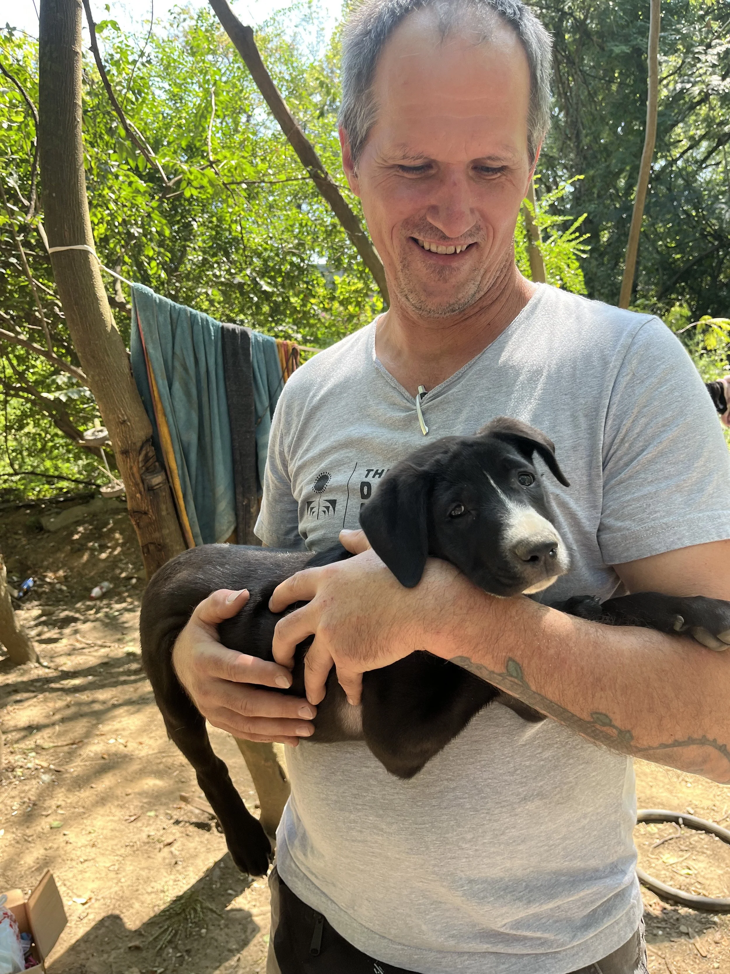 Mobile Clinic for the Pets of the Unhoused in Rossville