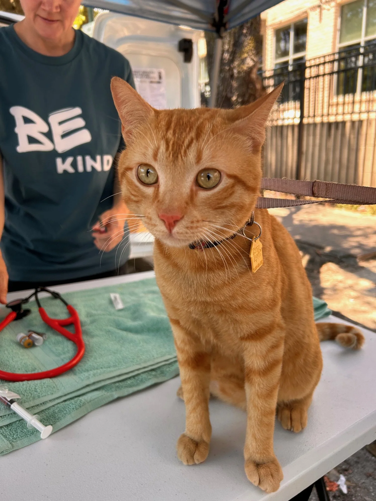 Mobile Clinic for the Pets of the Unhoused