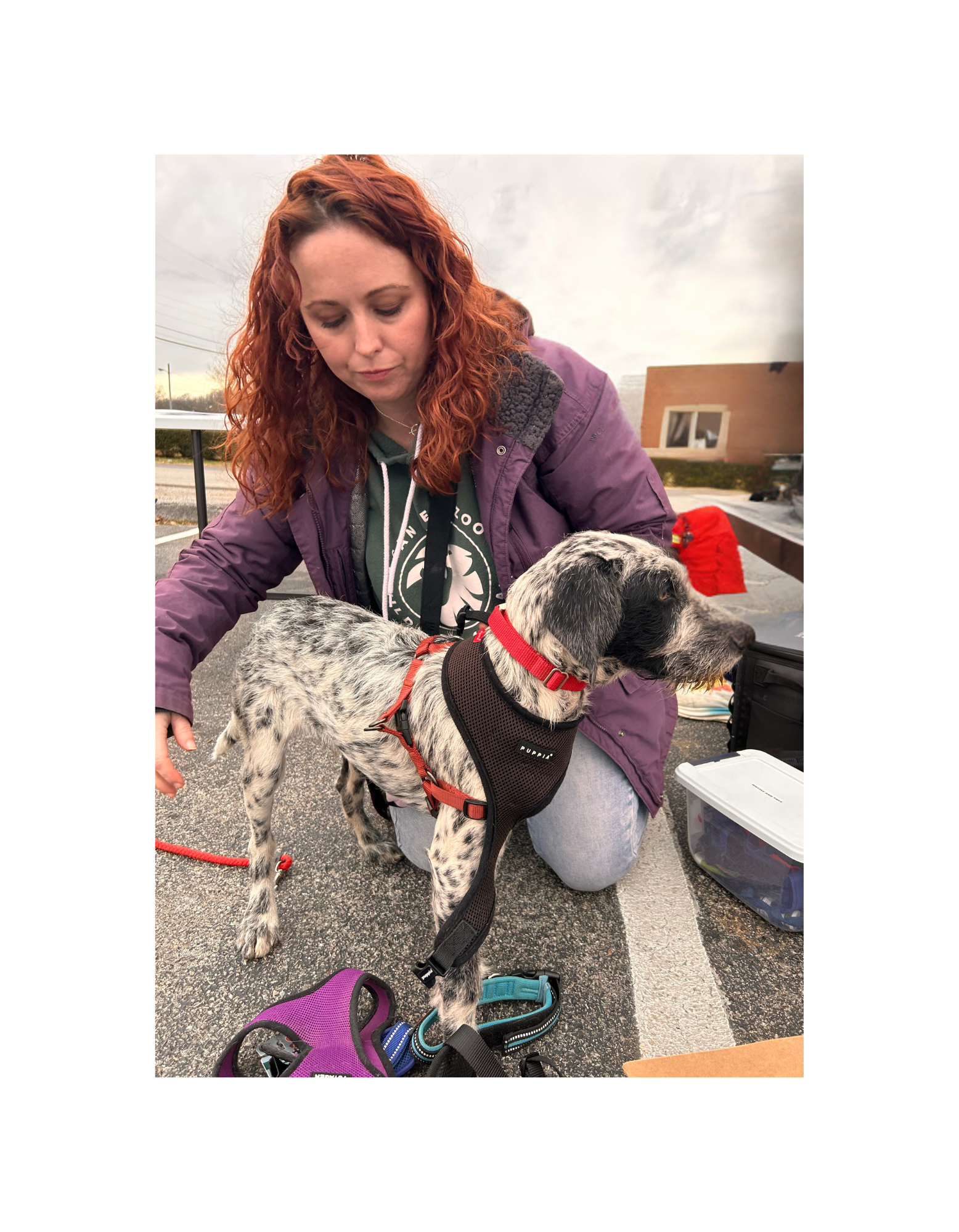 Mobile Clinic for the Pets of the Unhoused