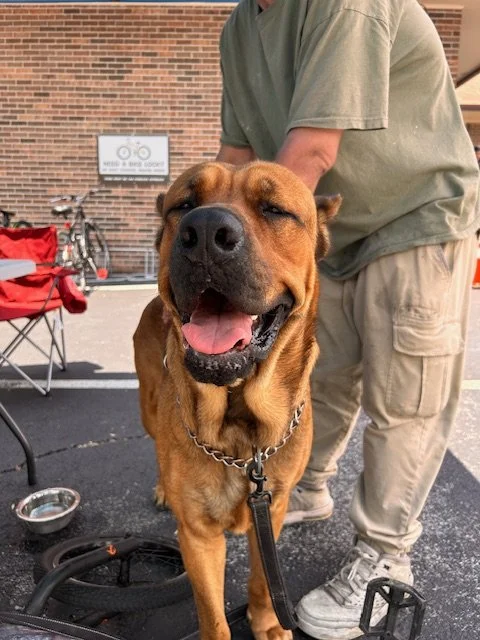 Mobile Clinic for the Pets of the Unhoused