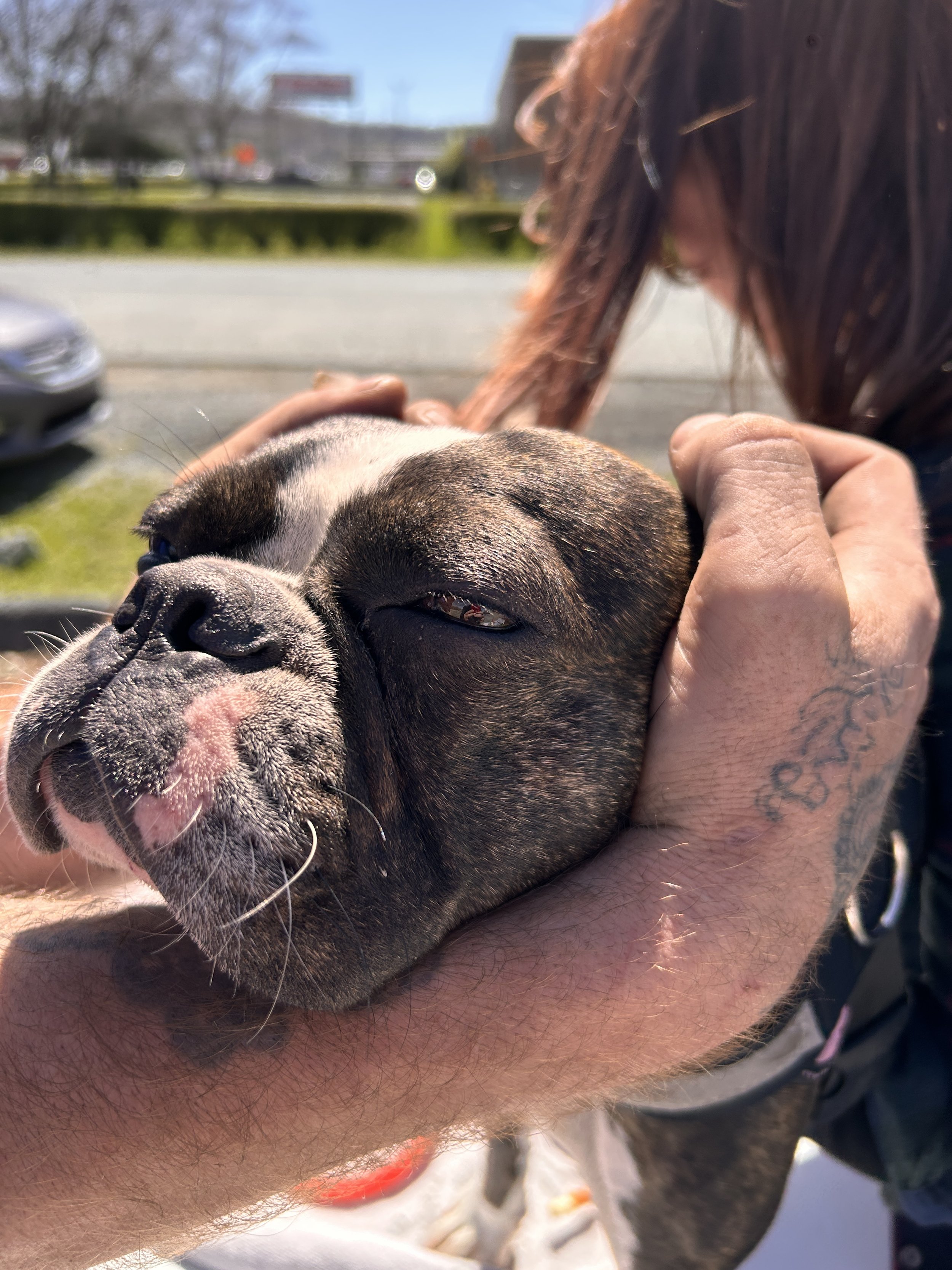 Mobile Clinic for the Pets of the Unhoused