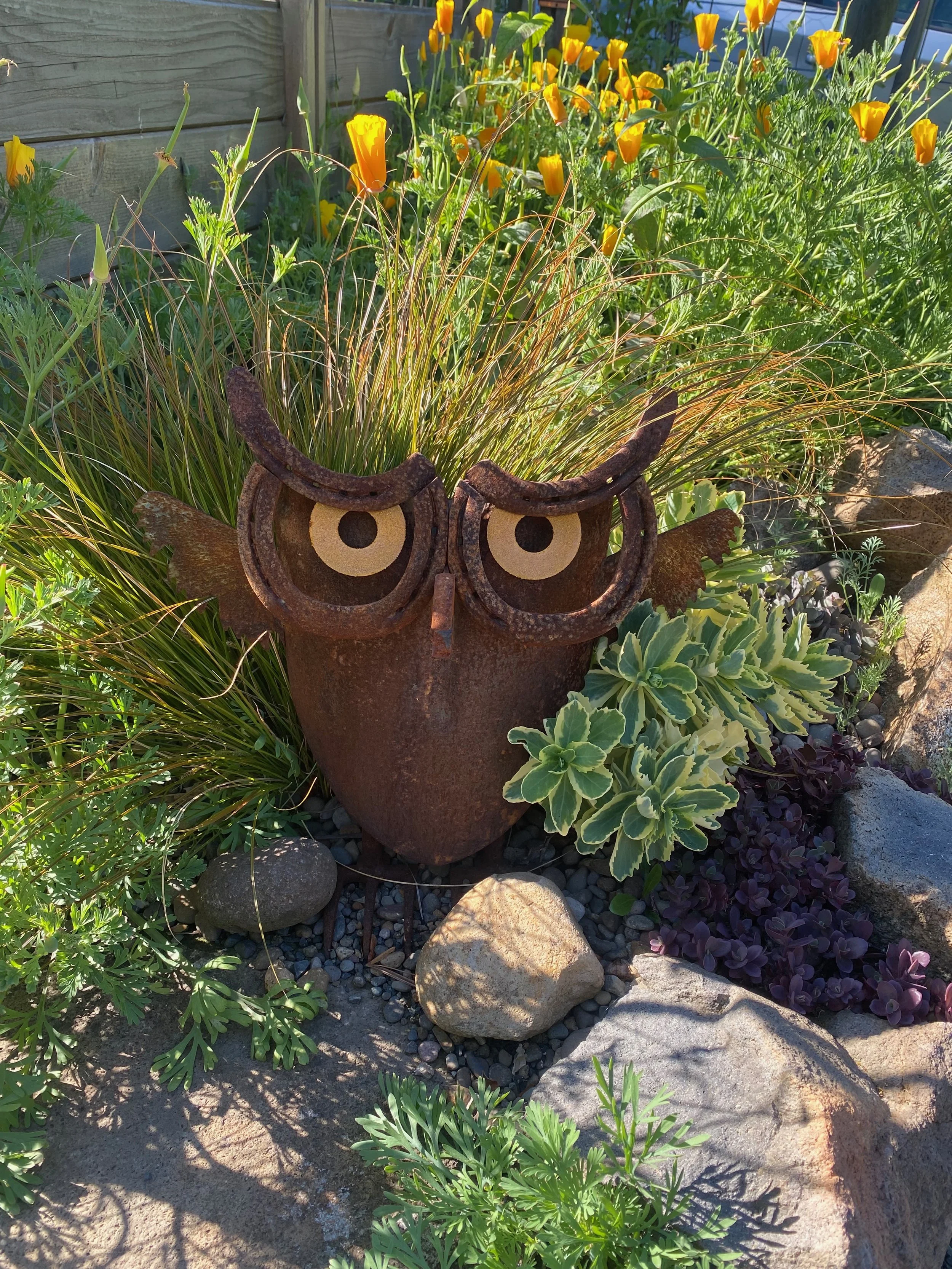 The Speedy Radish - 1 Hour Garden Consult