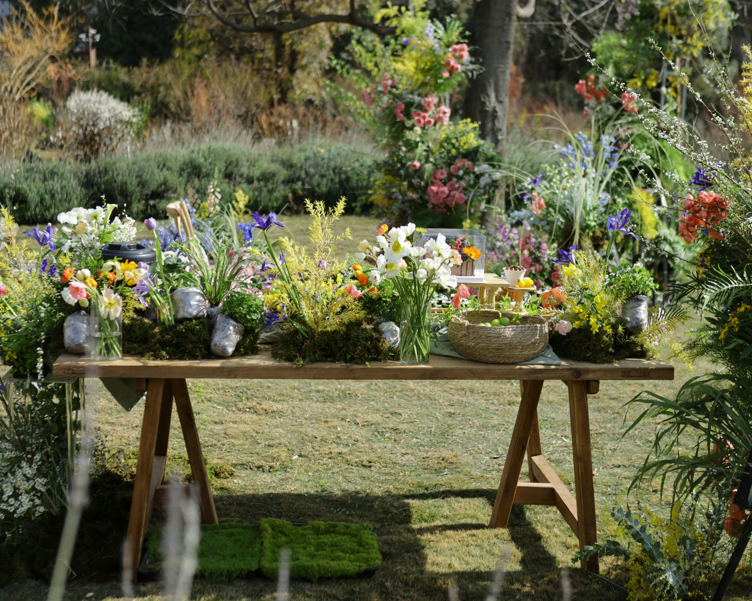 The Speedy Radish: One-Hour Garden Consult