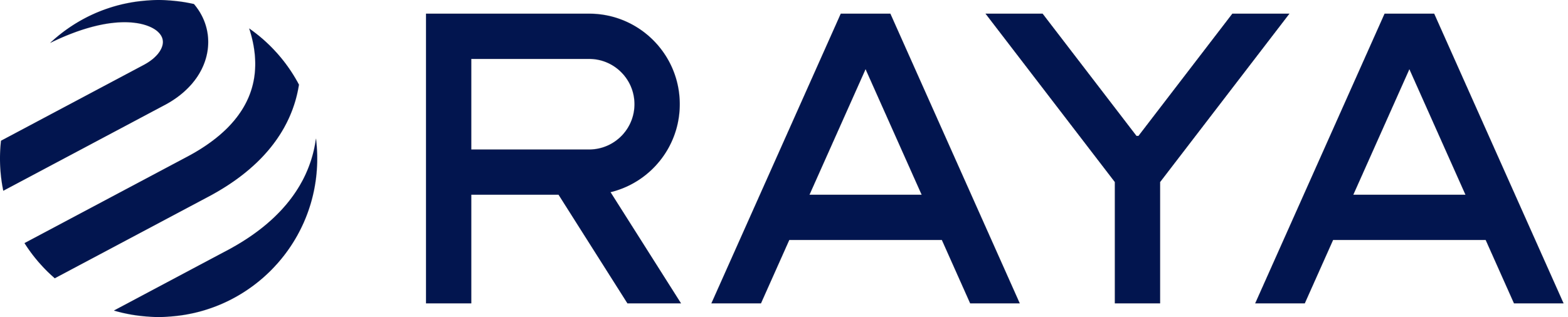Blue logo with the word 'RAYA' in capital letters next to a stylized blue sphere with three curved white stripes.