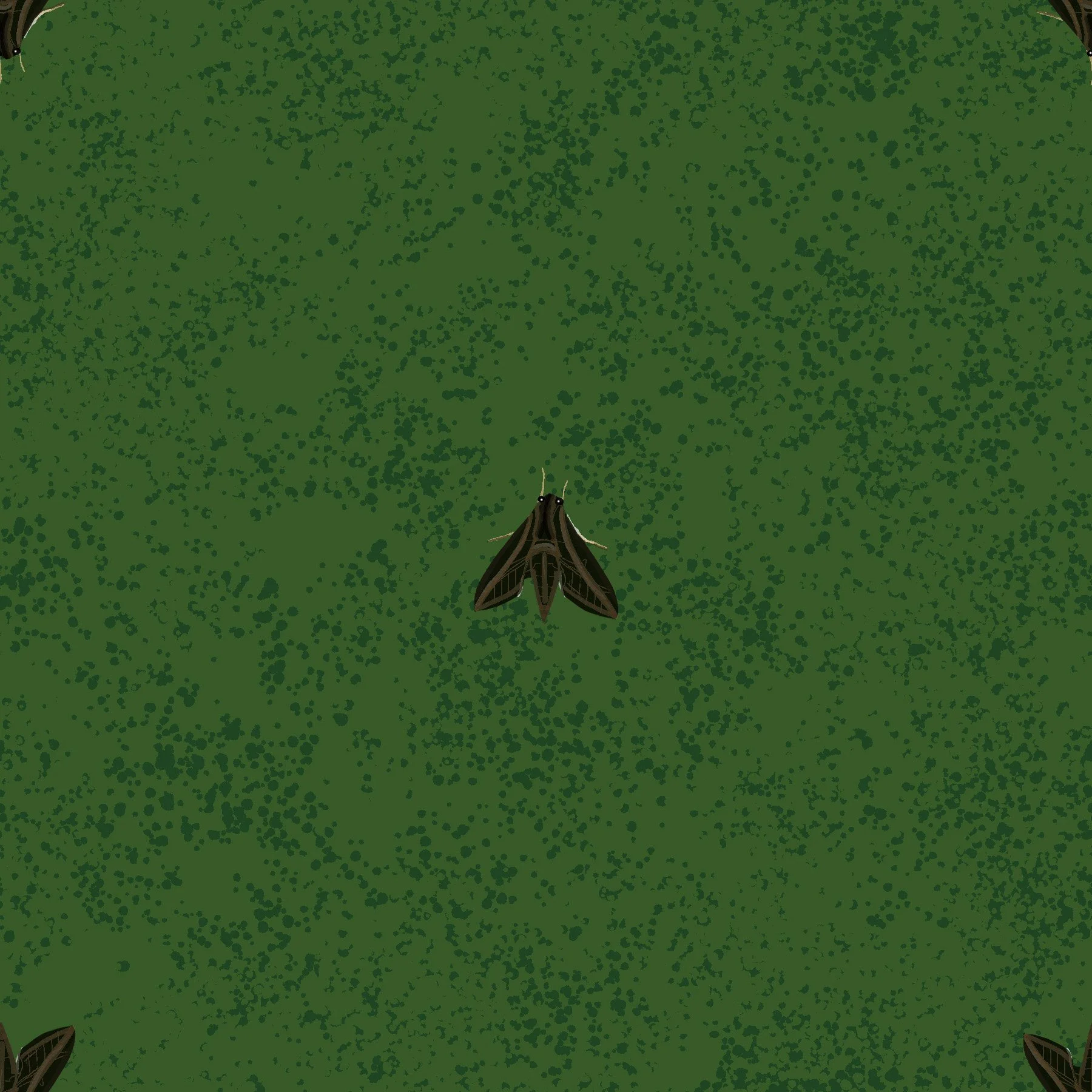 Mothdot.jpg