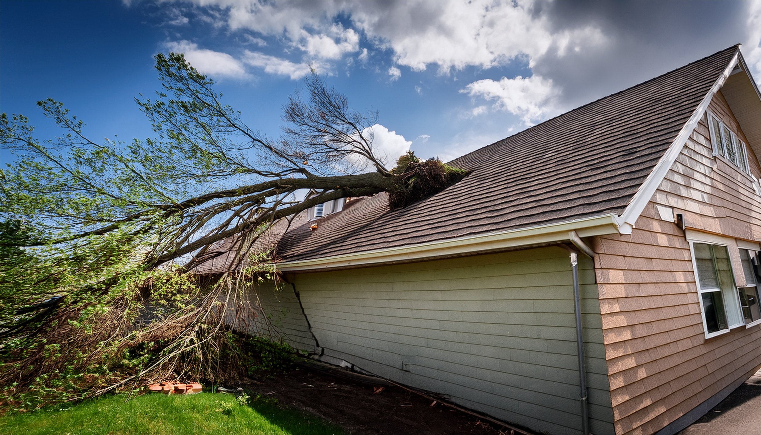 Storm-damaged roof with fallen tree branches, showing typical homeowners insurance claim scenario.