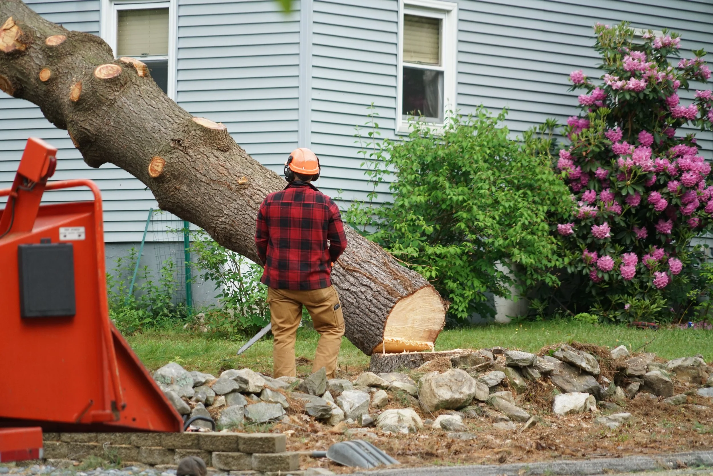 Tree removal professionals cutting and removing a fallen tree from a residential property after storm damage.