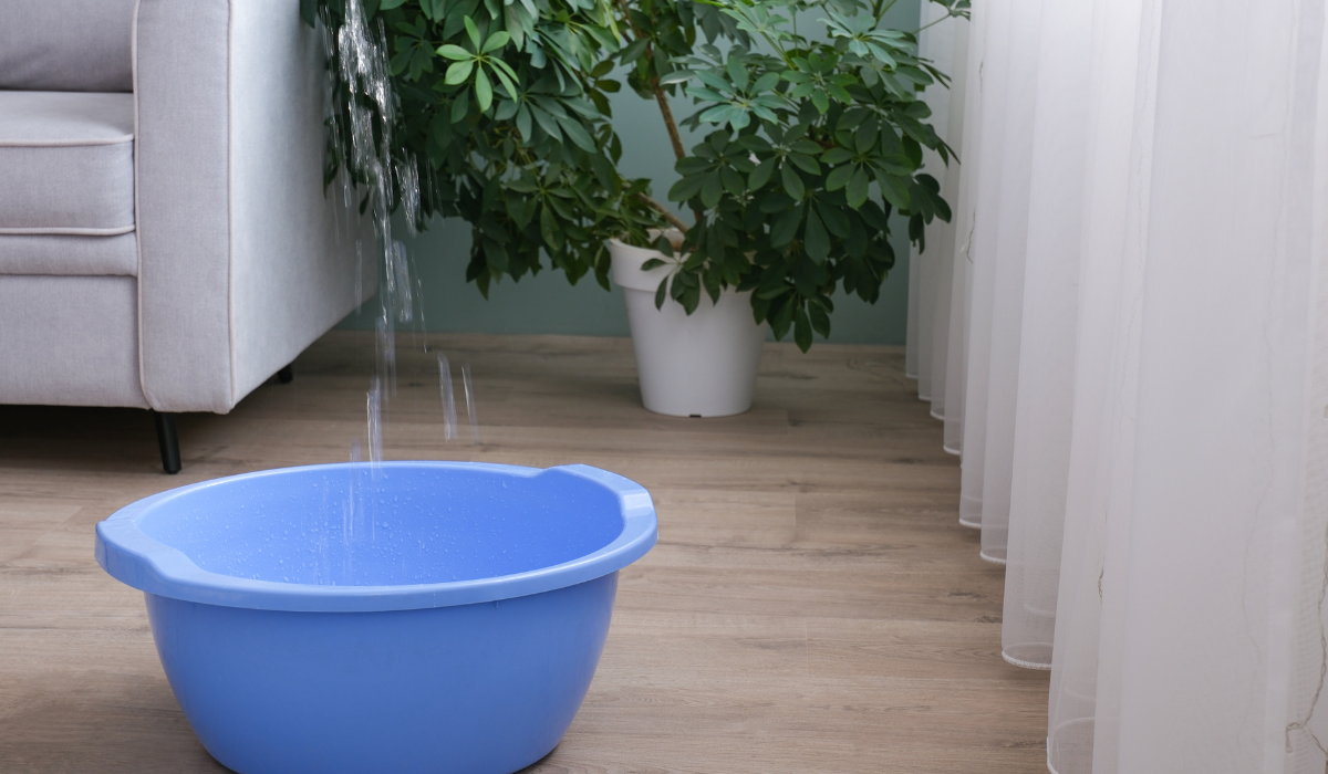 Homeowner placing a bucket under a ceiling leak and documenting water damage