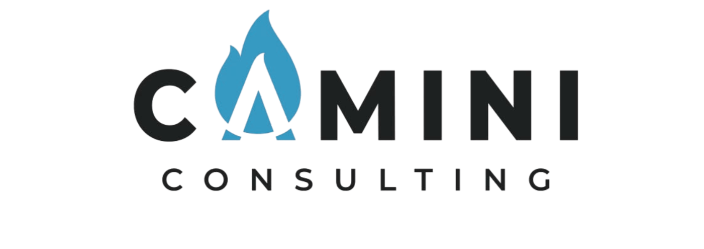 Camini Consulting 