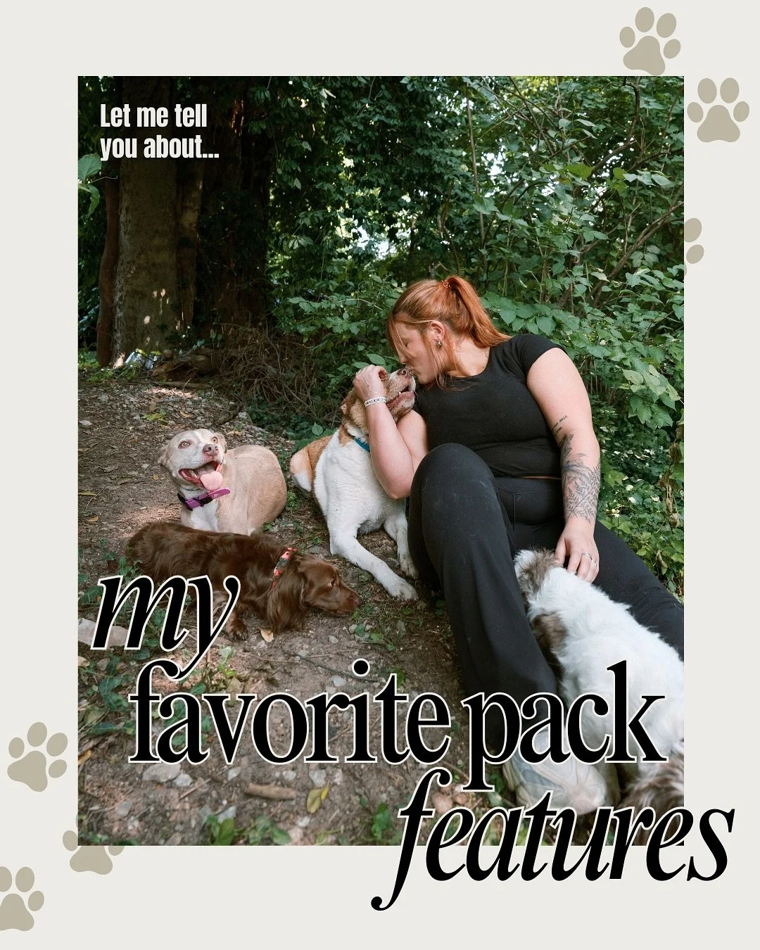 My dogs have… features 😂 Swipe through and prepare yourself 🐾✨ #nashville #dogtrainer