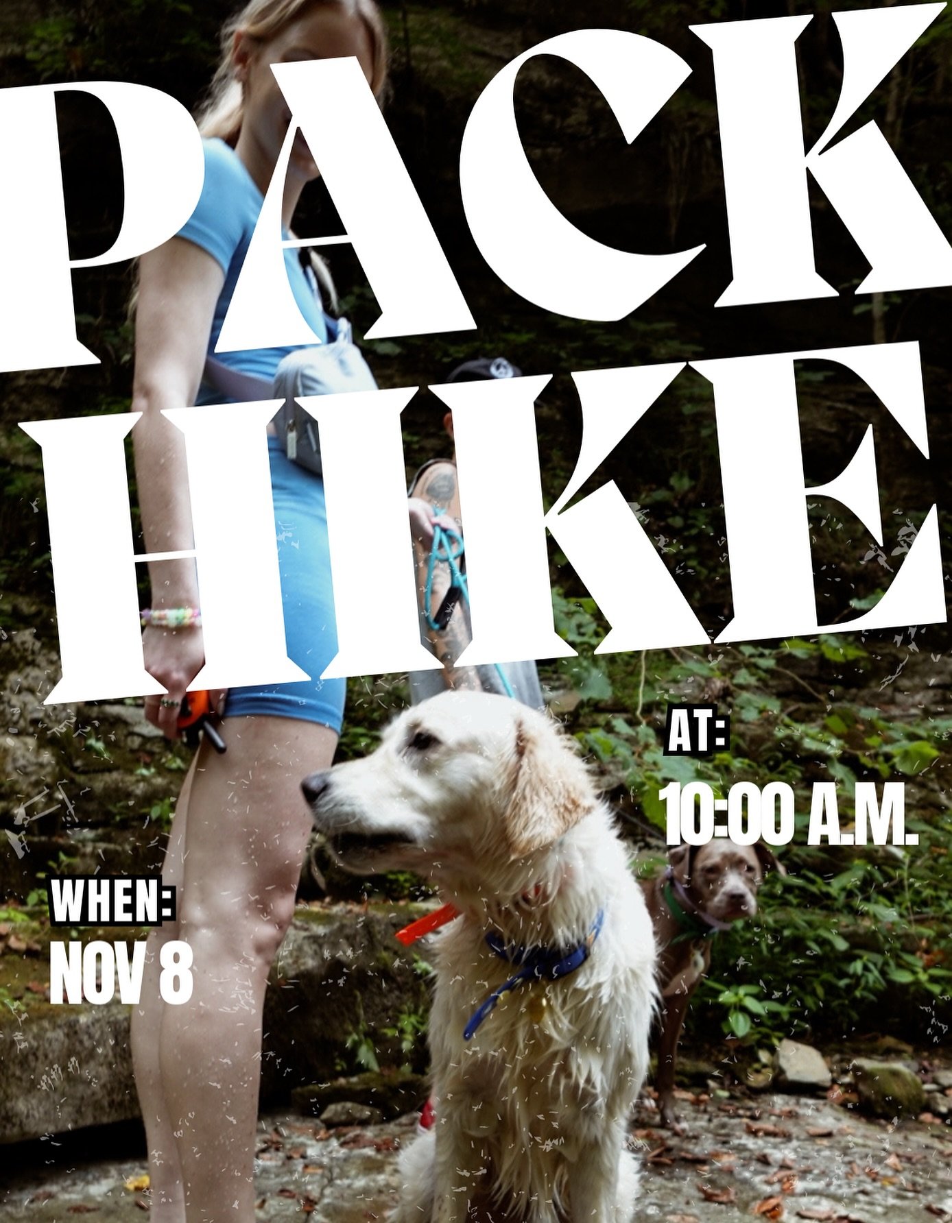 IT&rsquo;S THAT TIME AGAIN 🌲🥳🐾
&bull;
Our last pack hike before the weather turns to single digits. All past, current &amp; soon to be clients are welcome to join! 
📍Machine Falls
🗓️ Sat. November 8
⏰ 10:00 AM