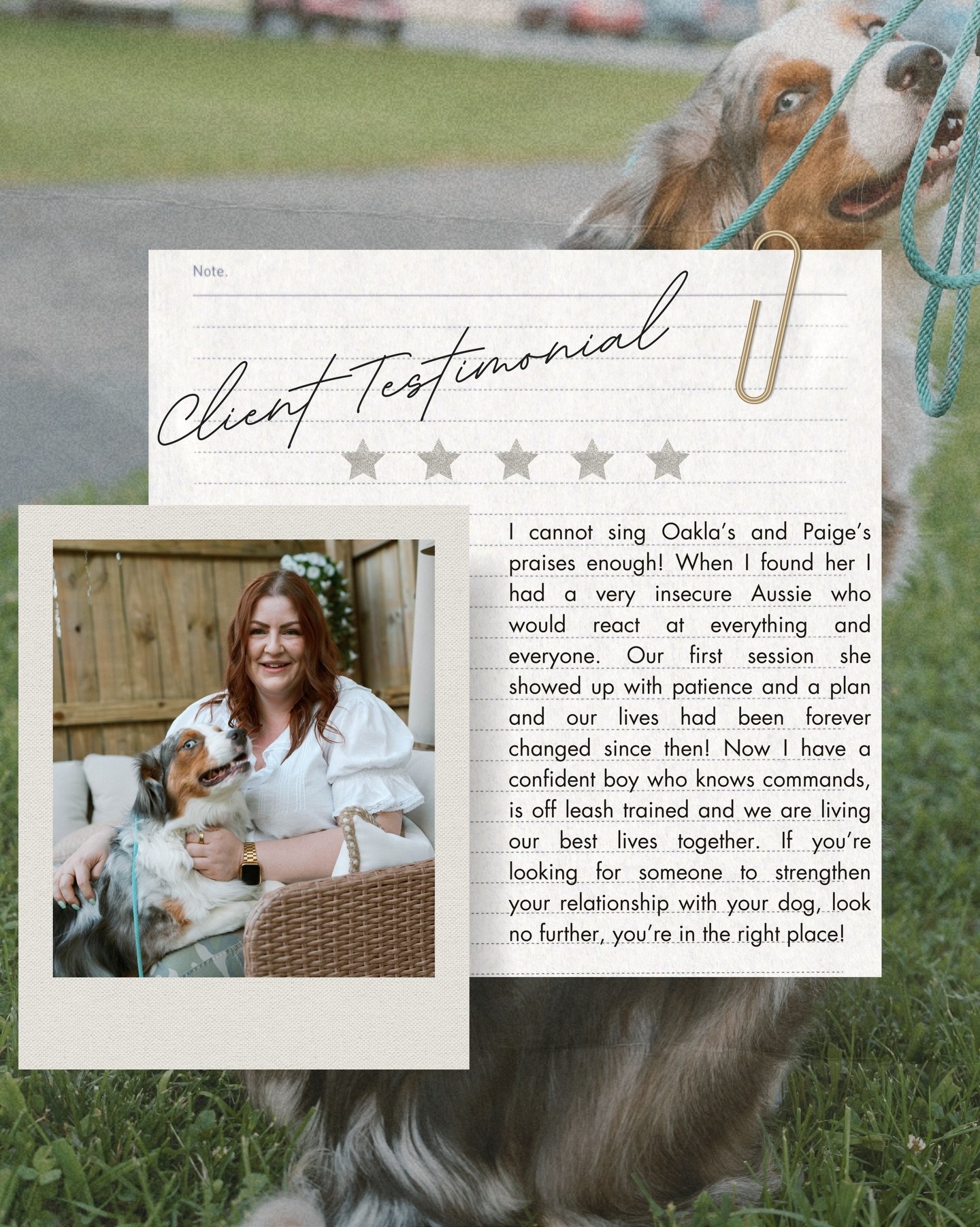 Our clients continued success is so important to us! Hear all about Shelly &amp; Phoenix&rsquo;s journey 🫶🏼🐾 
&bull;
vc/pc: @emmashaneheim