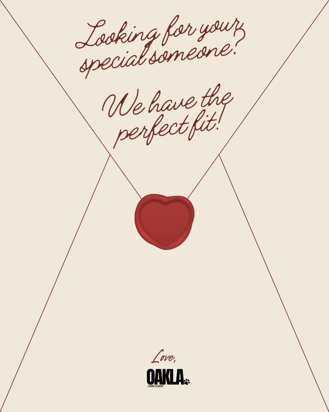 we love this crew just as much as you do! not looking for a new addition?! we get it. share this post to help these perfect pups find their forever match 💌🐾 #dogfoster #dogtrainer #nashville #valentinesday